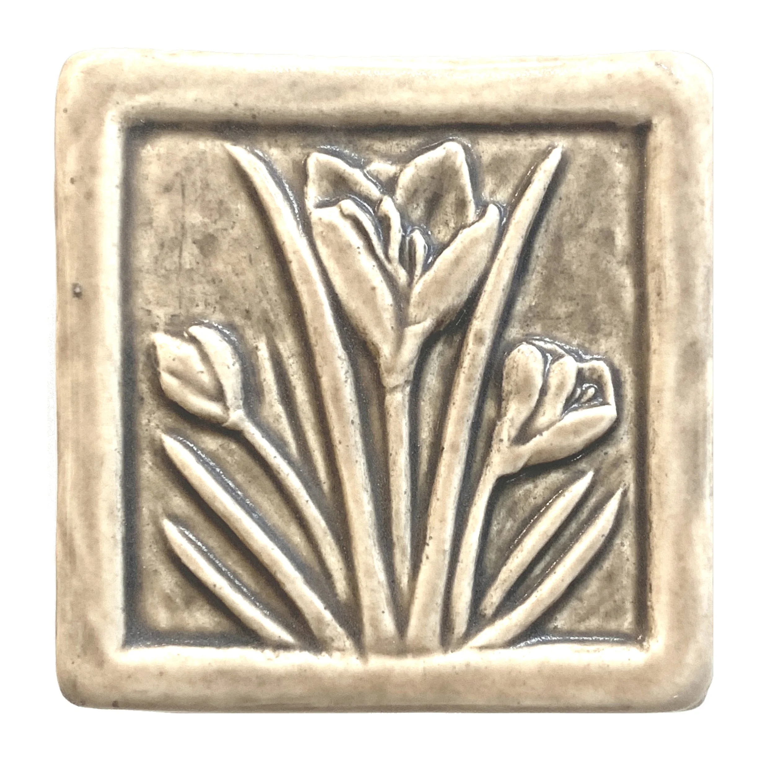 Crocus 4 x 4 sepia.JPG