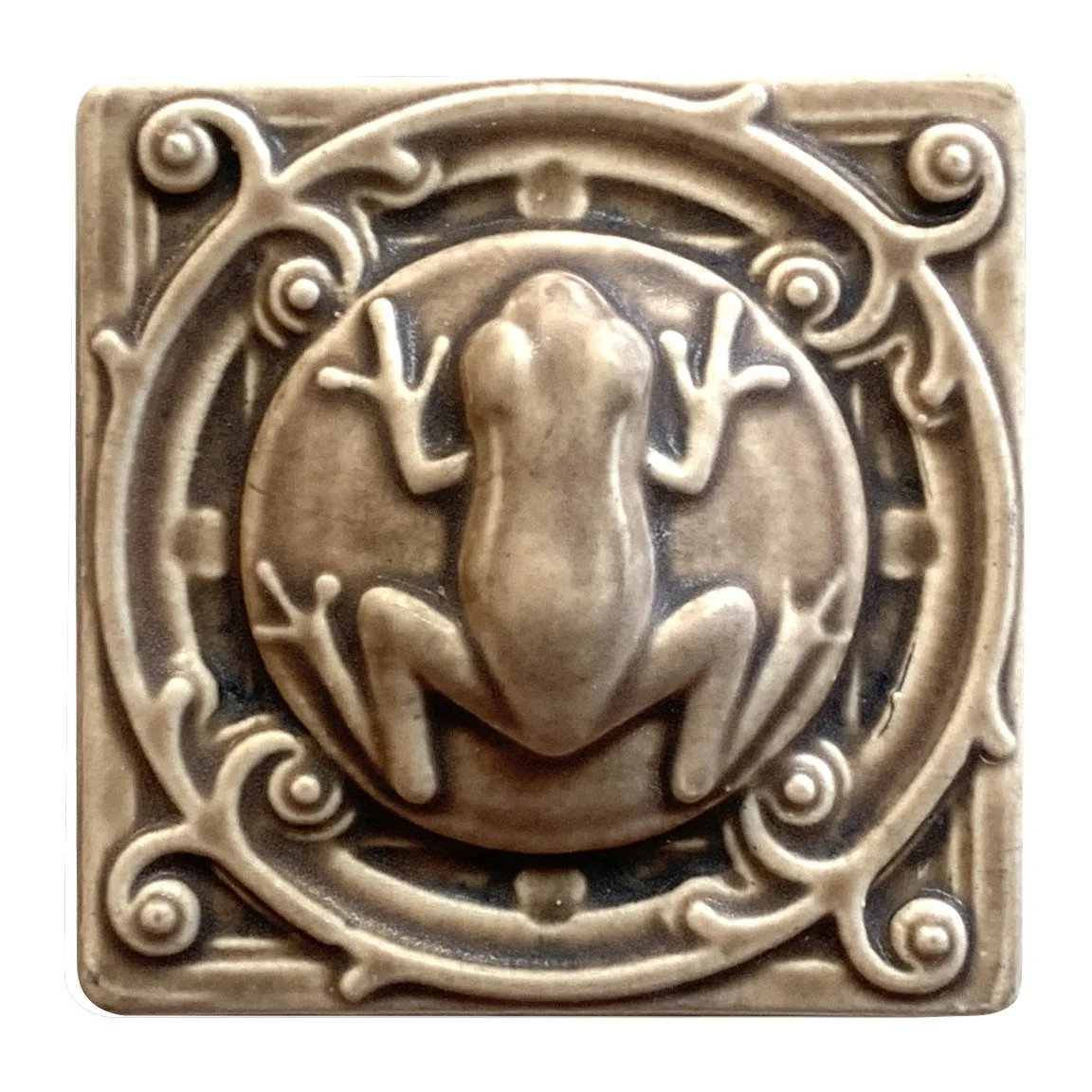 Tree frog 4x4 sepia.JPG