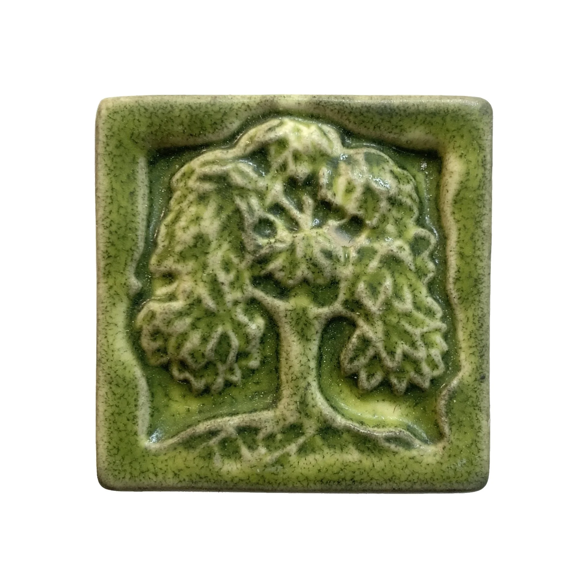 Standing tree 2 x 2 tree frog.JPG