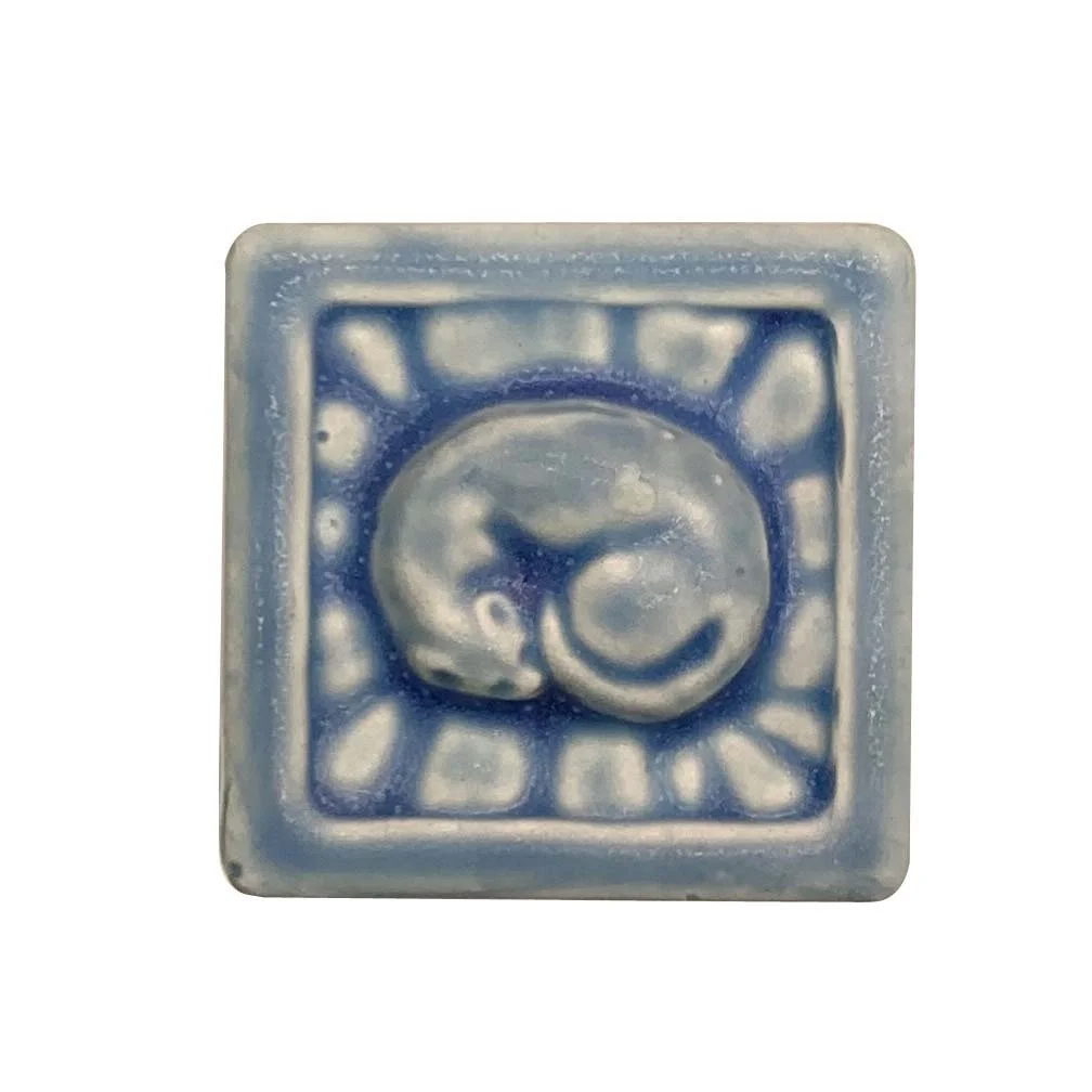 Ferret 2x2 freshwater .JPG