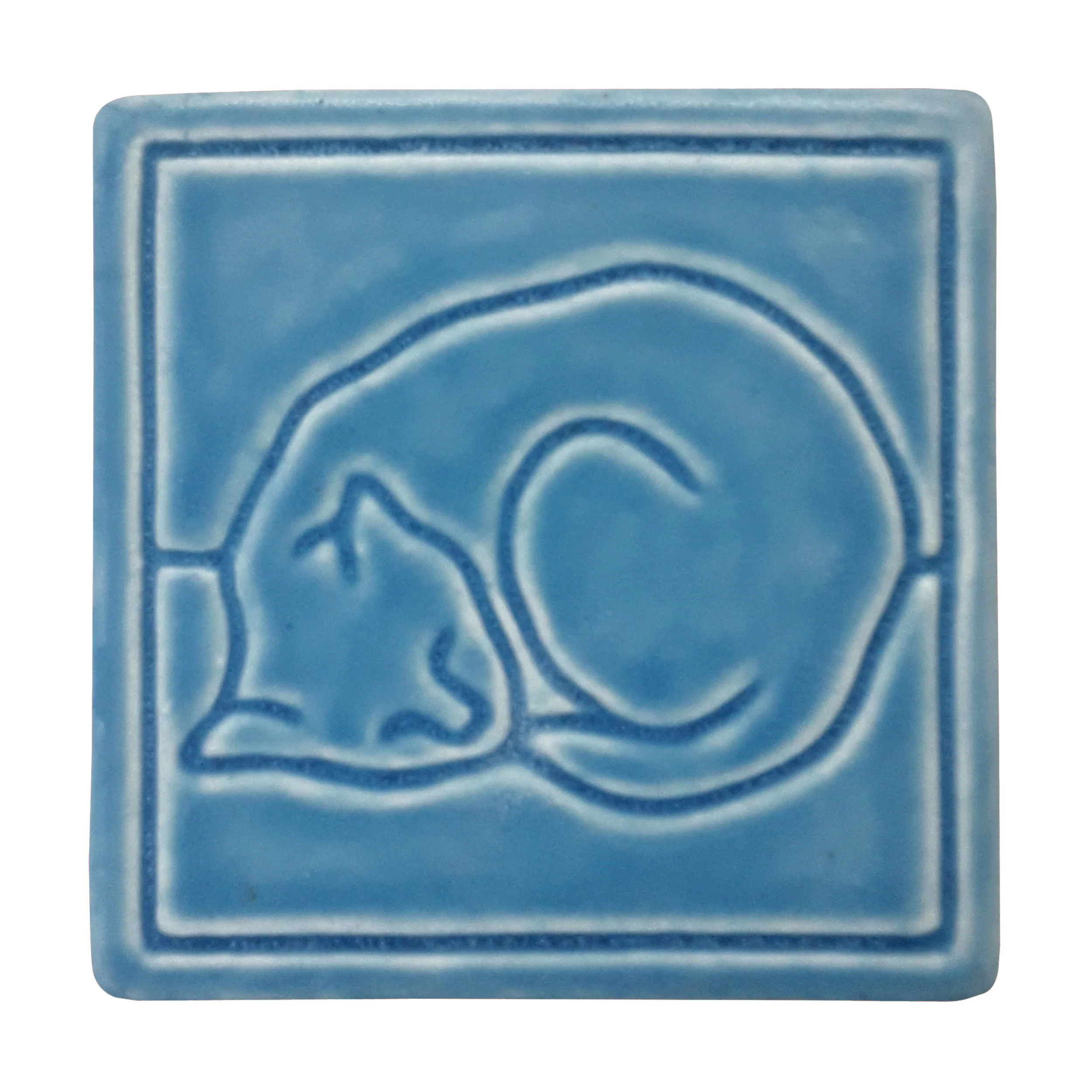 Line Cat_Freshwater Blue.jpg