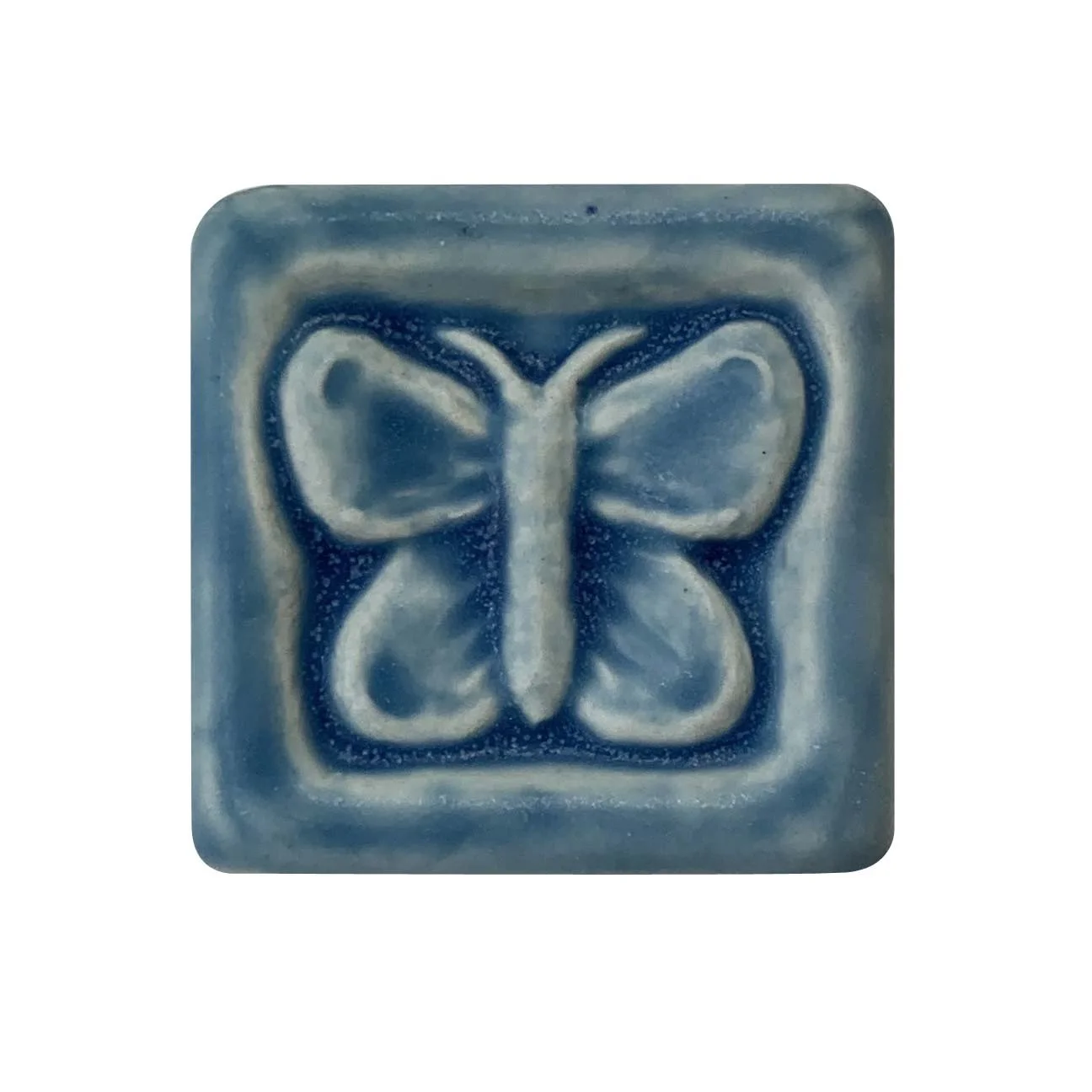 Butterfly2x2FresfwaterBlue.JPG