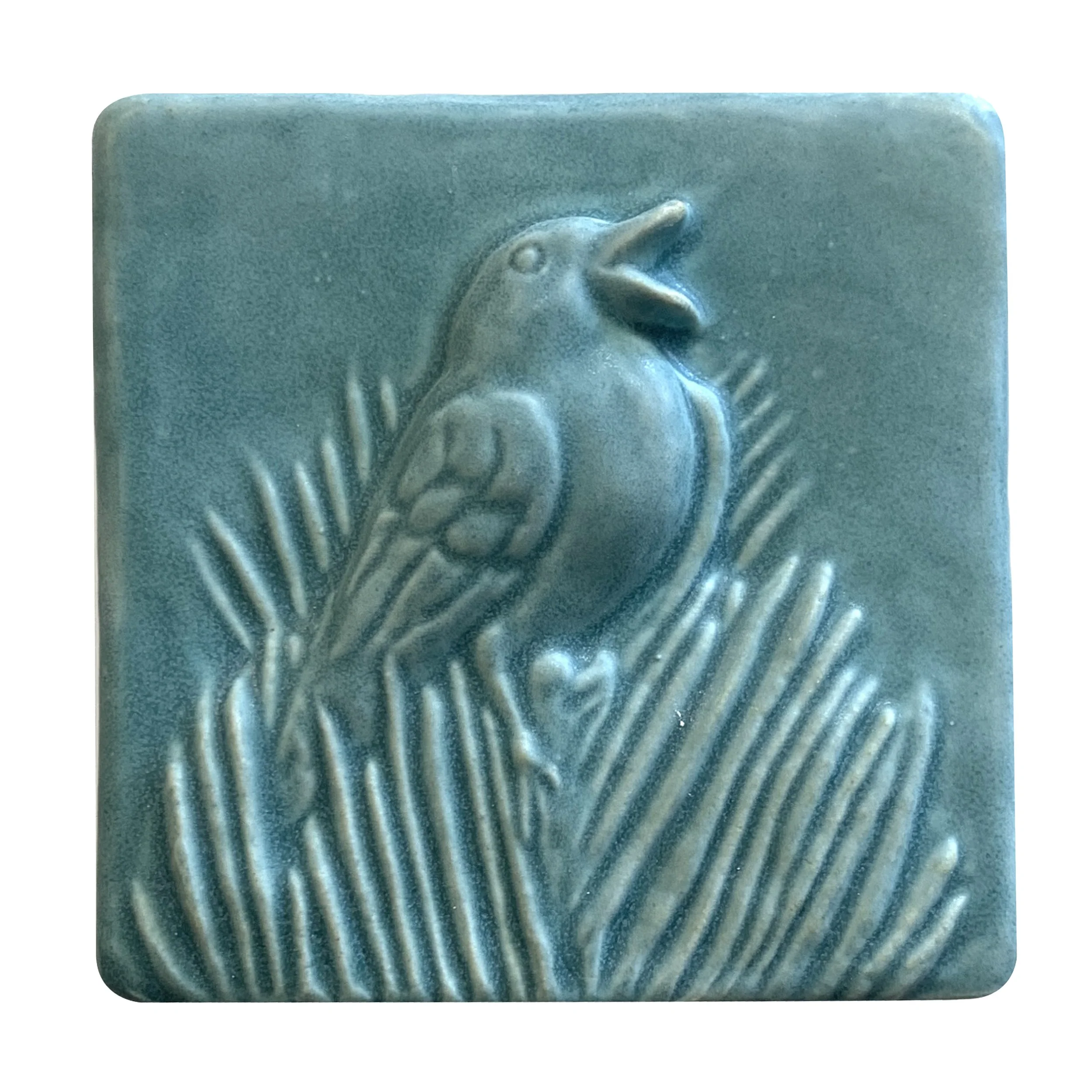 Songbird seaside.JPG