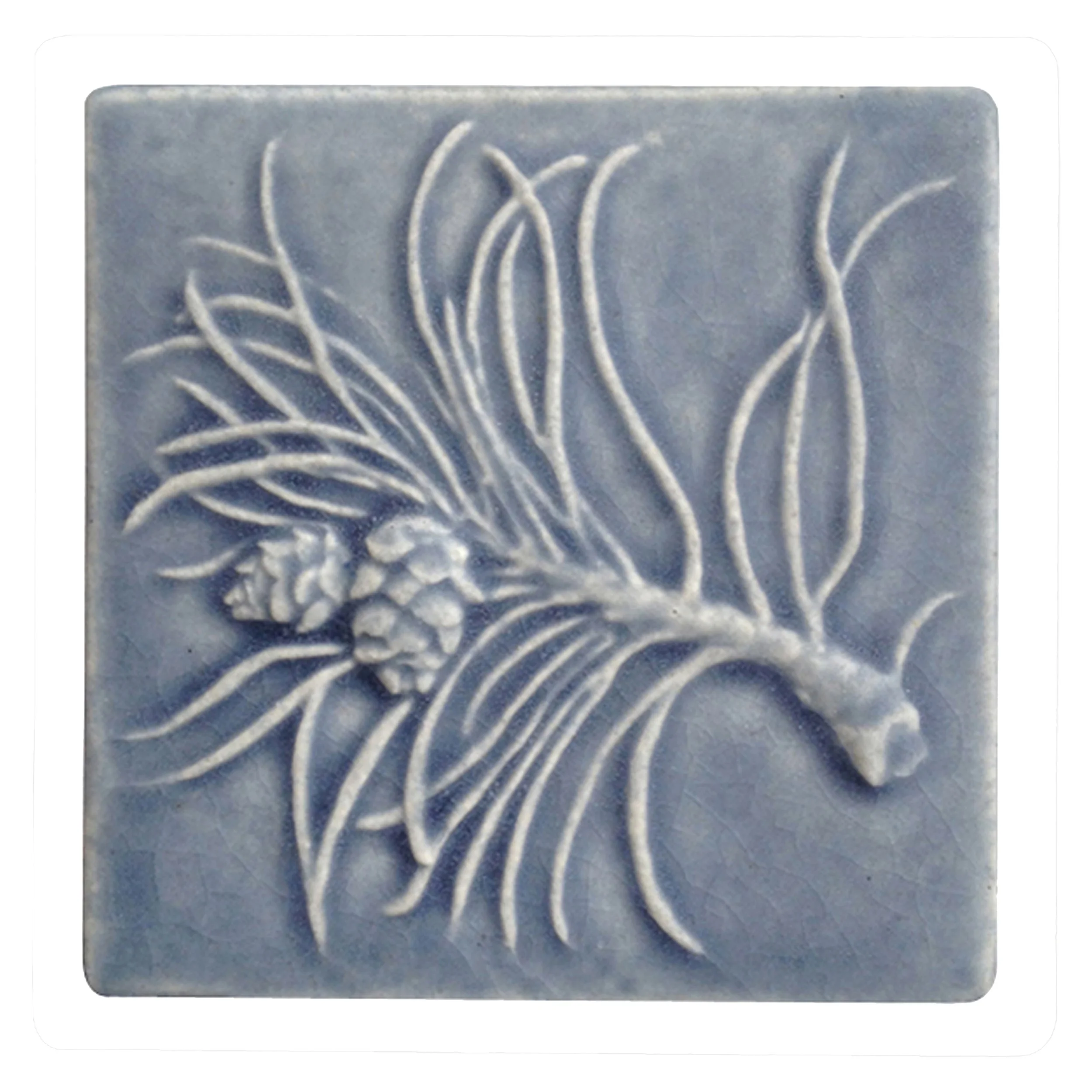 scotch pine Smoky Blue.jpg