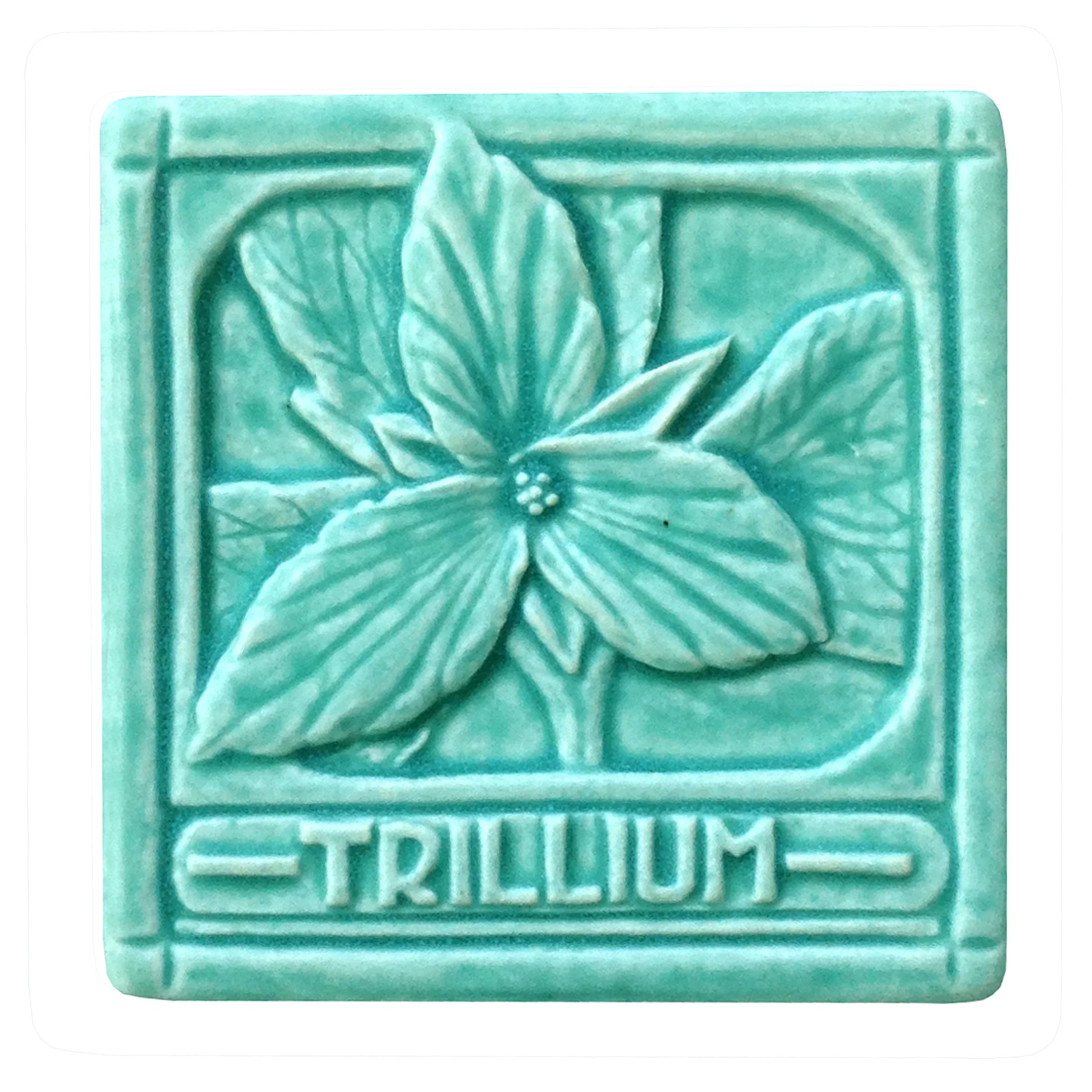Trillium.JPG