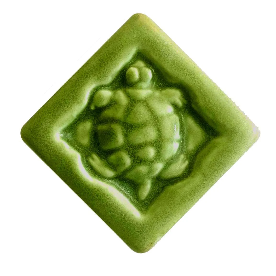 Turtle 2x2Tree Frog Green.jpg