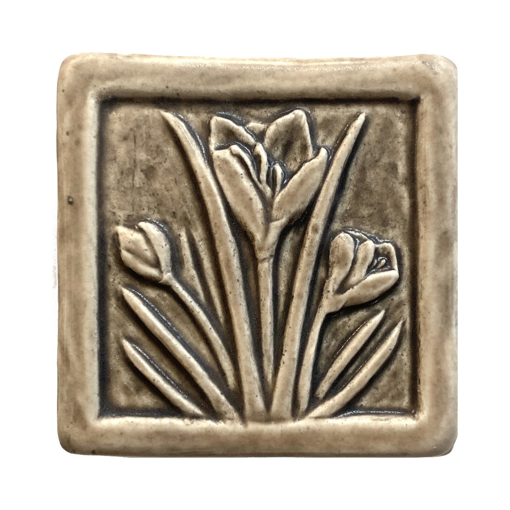 Crocus 4 x 4 sepia.JPG