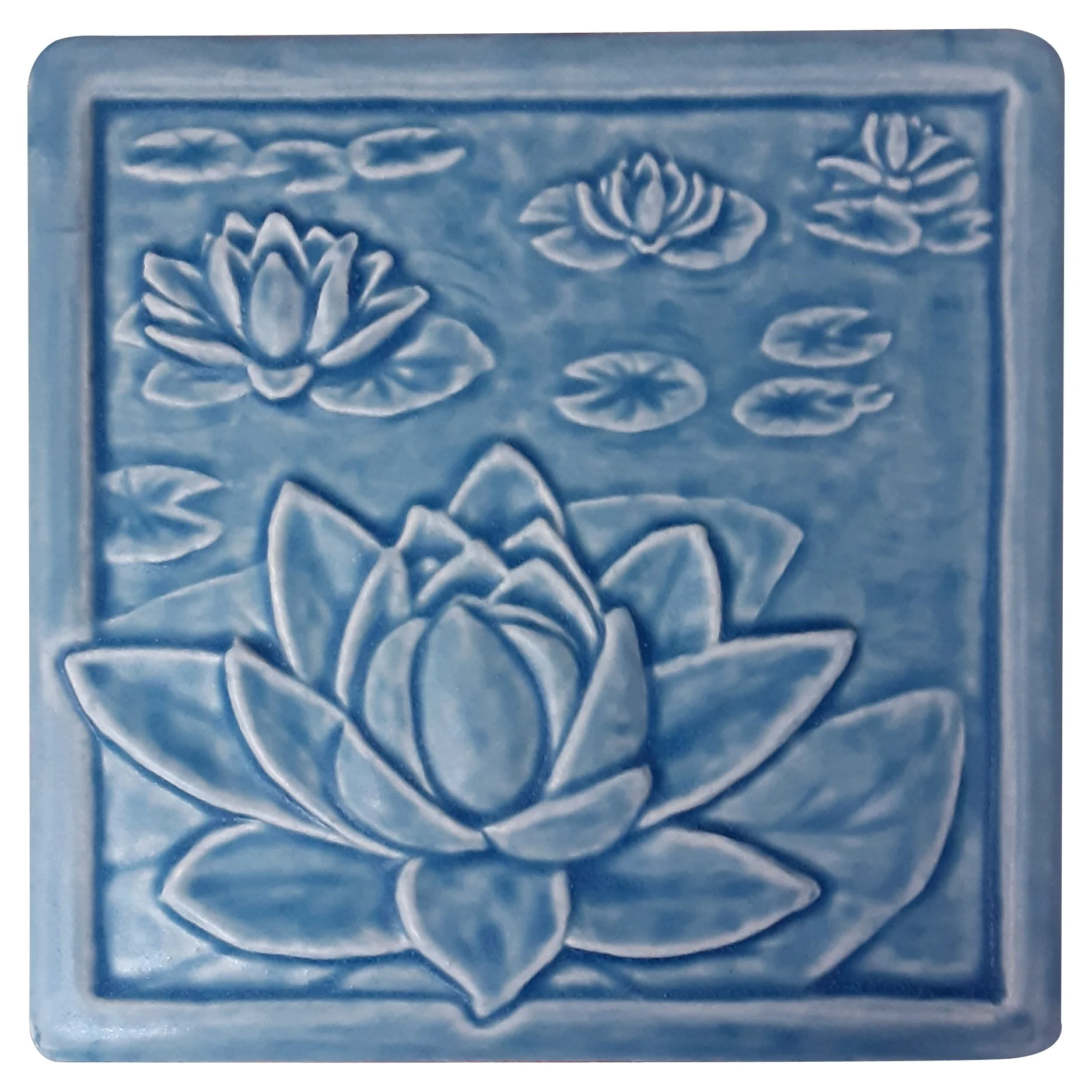 Waterlily Freshwater Blue Sq.jpg