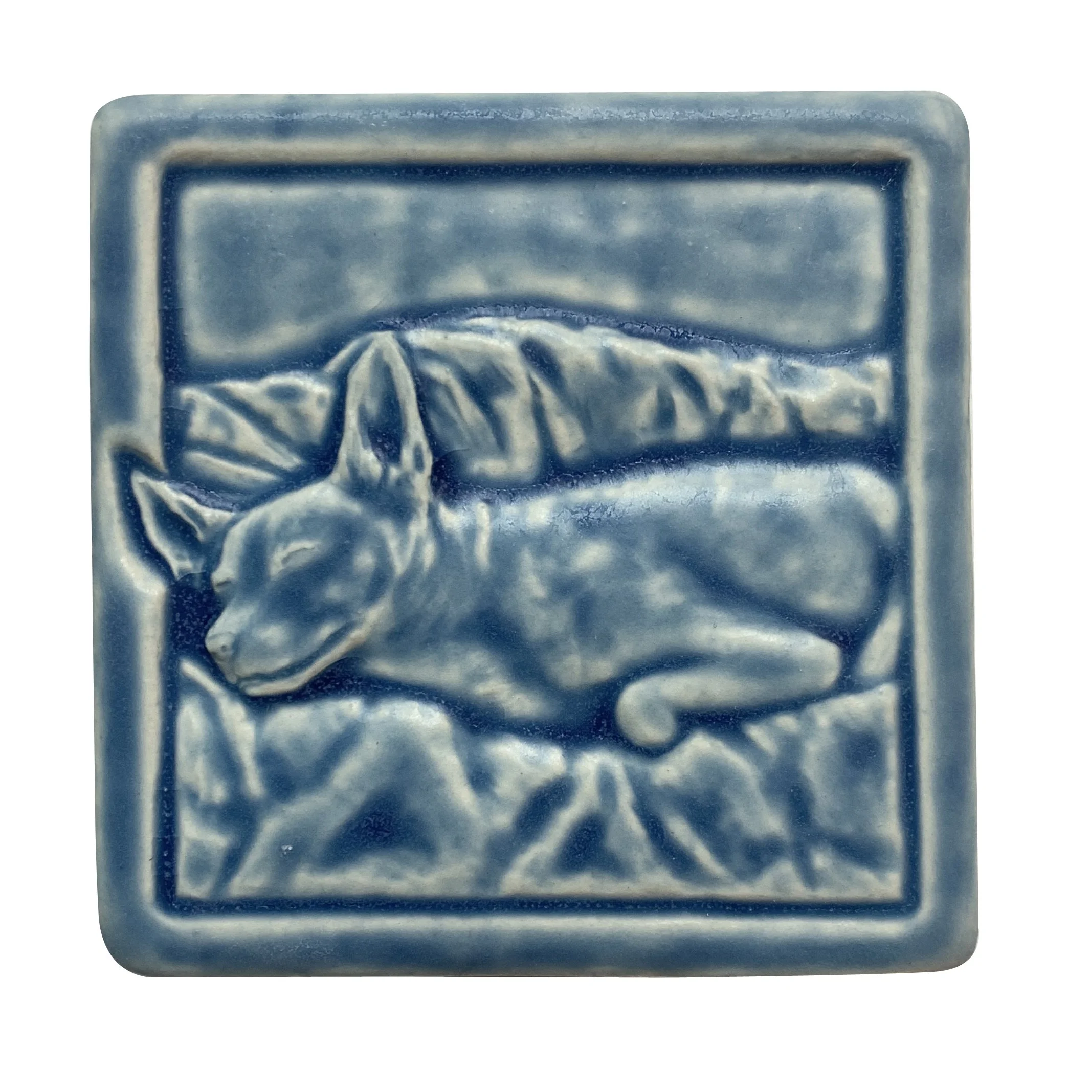 Rocco freshwater .JPG