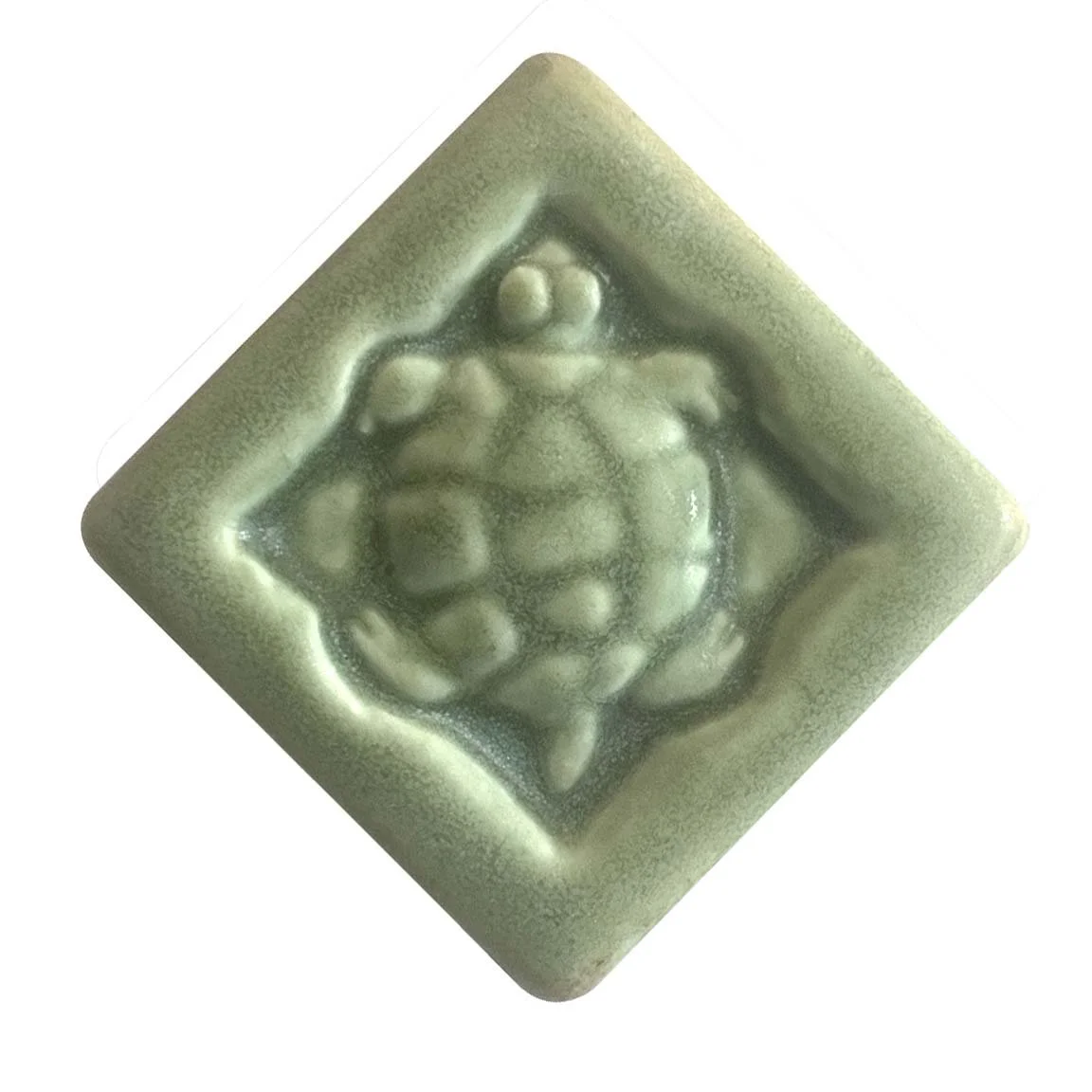 Turtle 2x2 oak hill.JPG