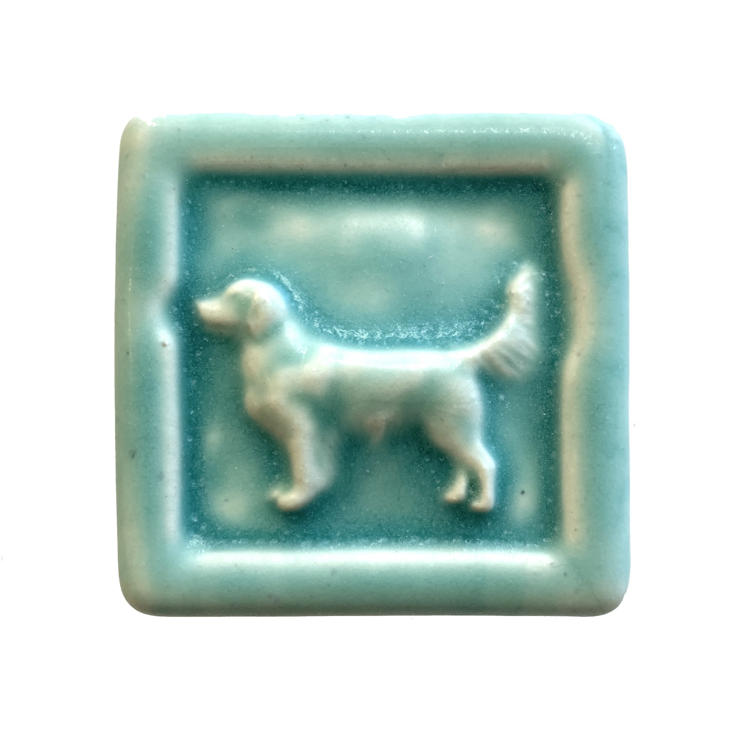 Retriever 2 x 2 bermuda.JPG