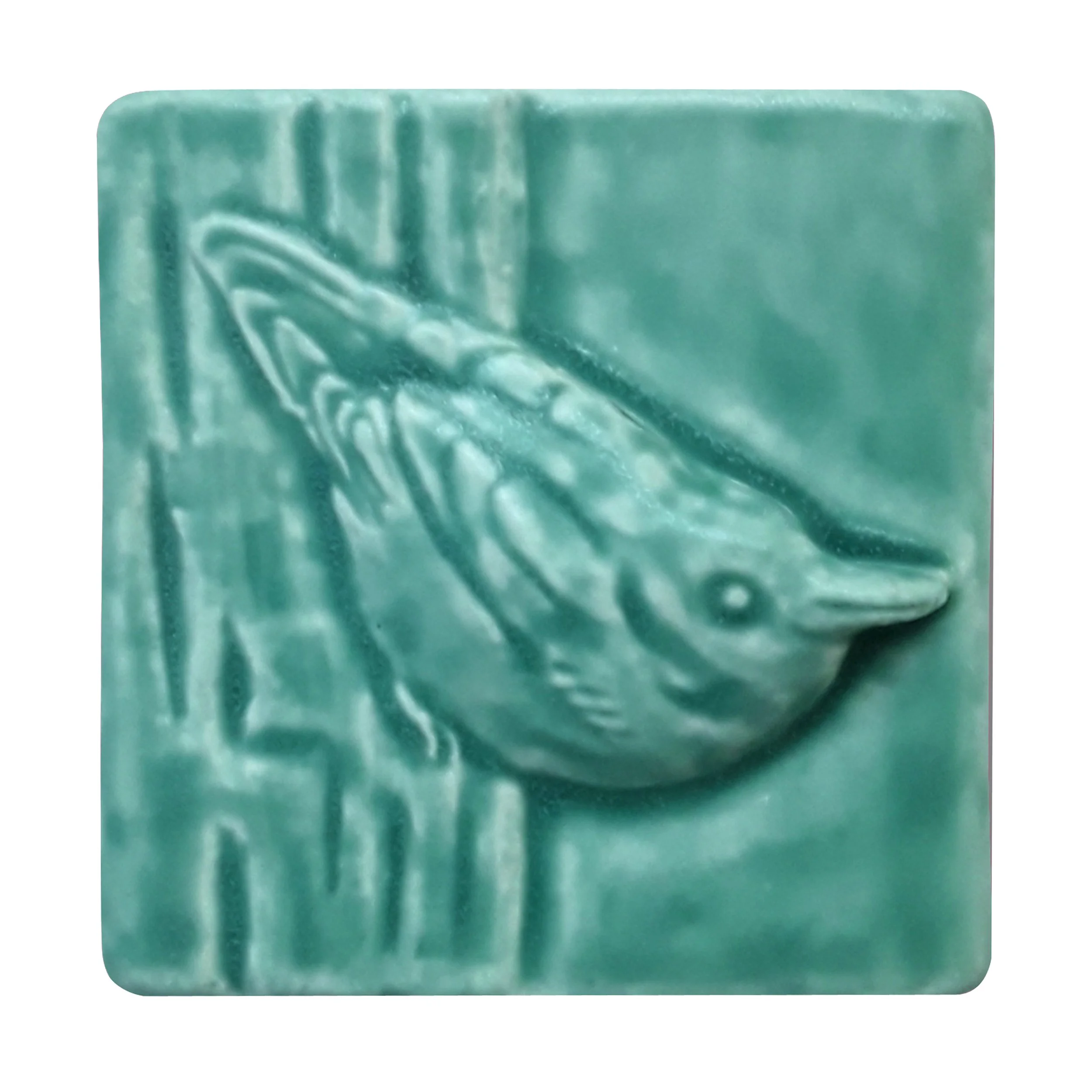 NuthatchBermuda .jpg