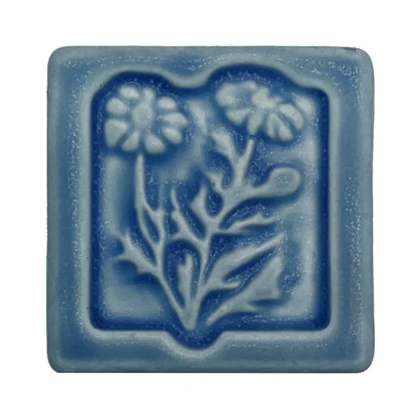 Chamomile 2 x 2 freshwater 2.JPG