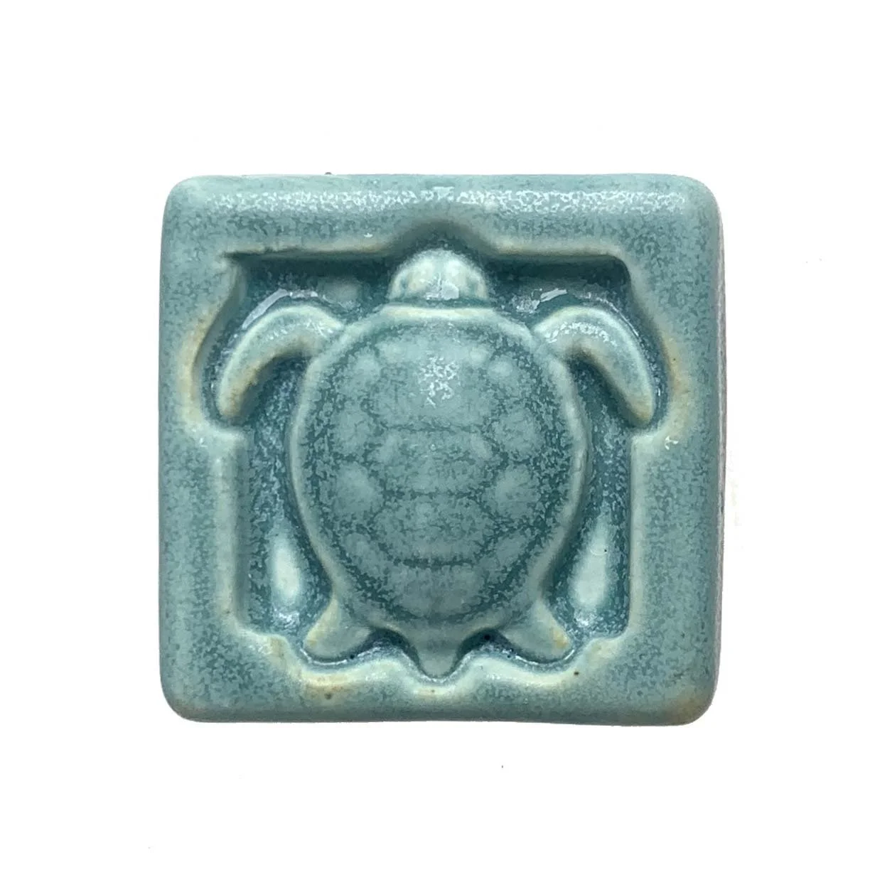 Sea turtle 2 x 2 seaside.JPG