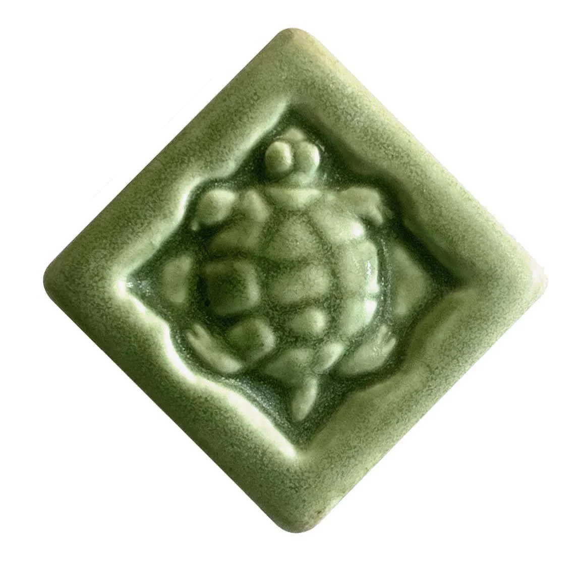 Turtle 2x2Tree Frog Green.jpg