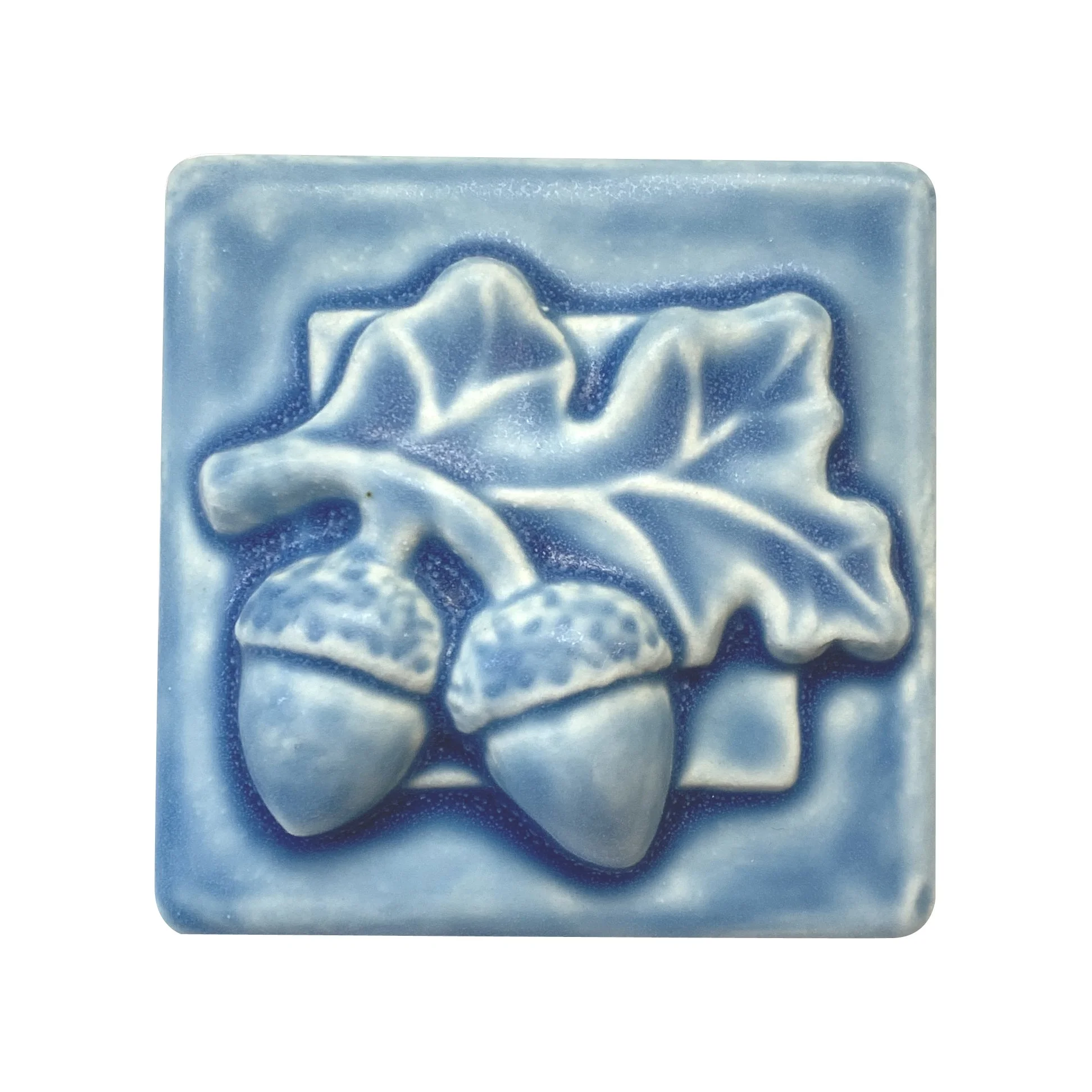 AcornWithLeavesFreshwaterBlue.JPG