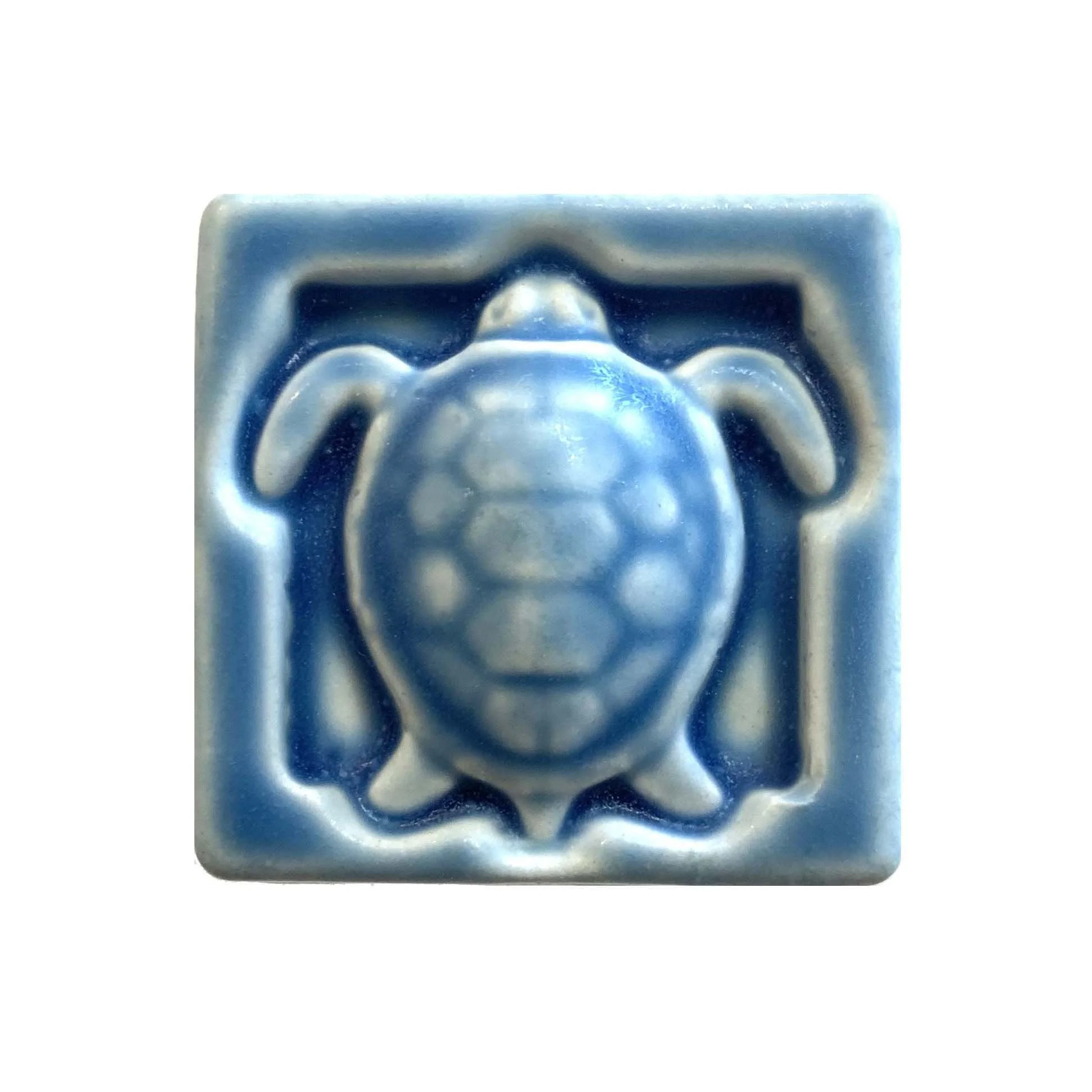 Sea turtle 2 x 2 Freshwater blue.JPG