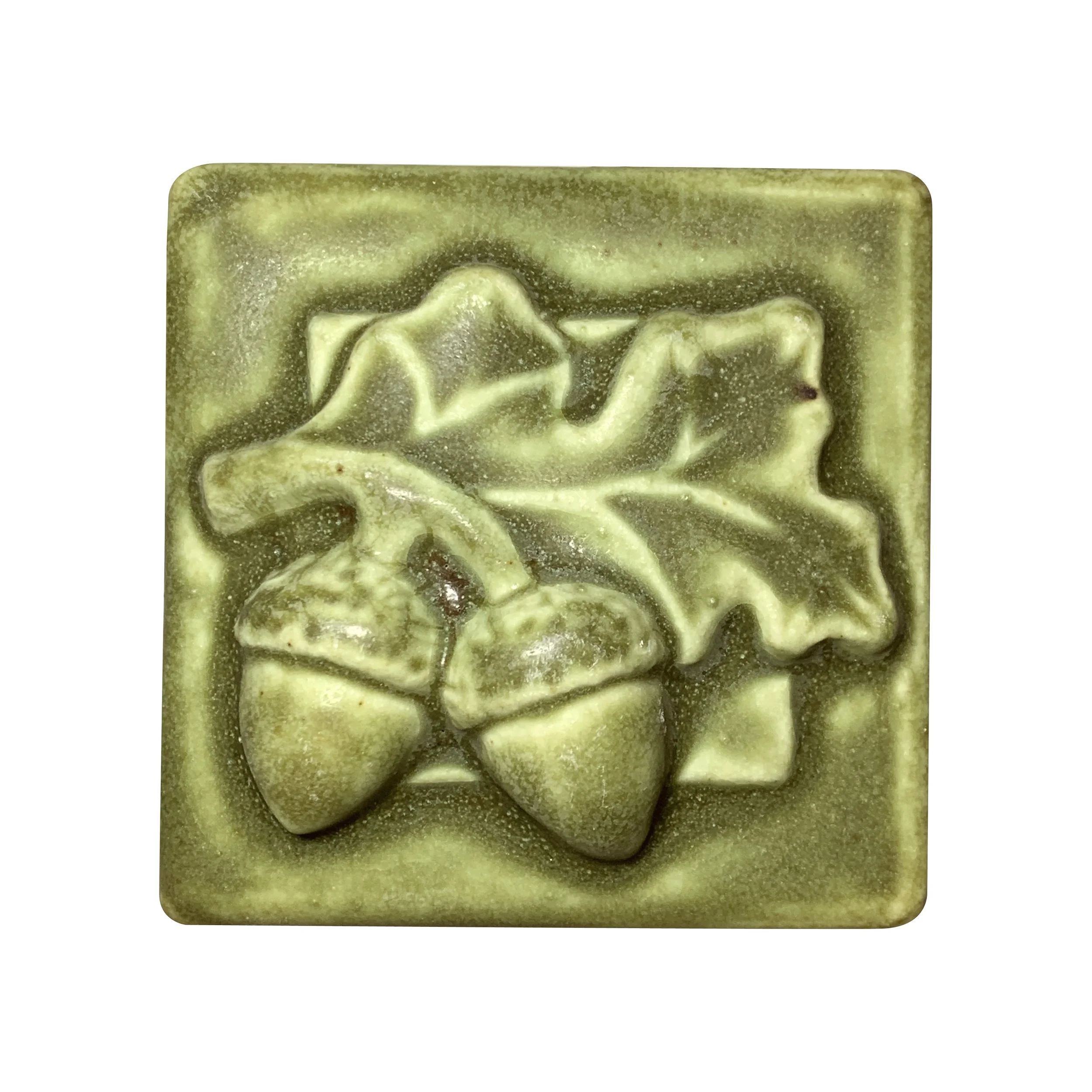 Acorn with leaves 3x3 oak hill .JPG