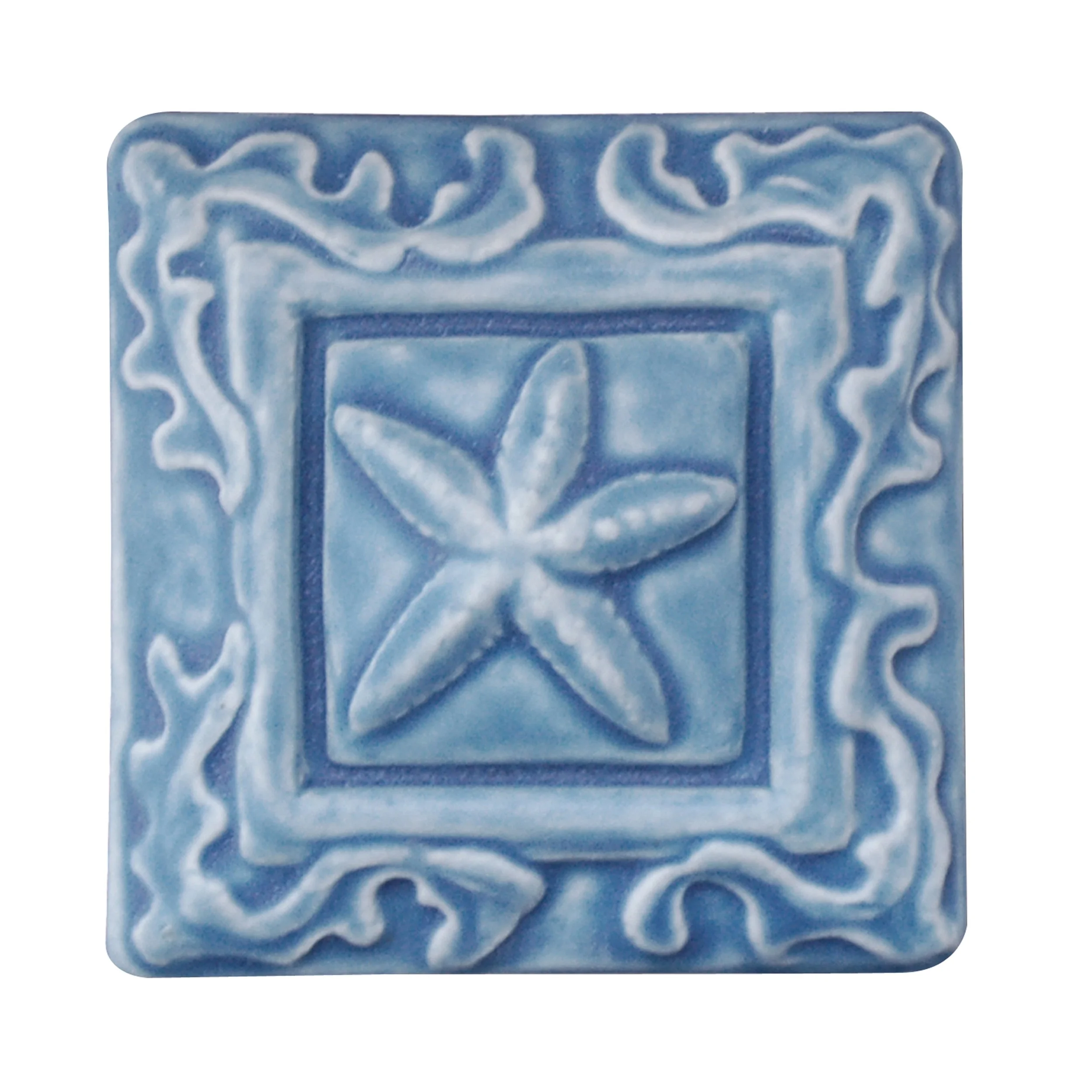 Starfish inFreshwater Blue .jpg