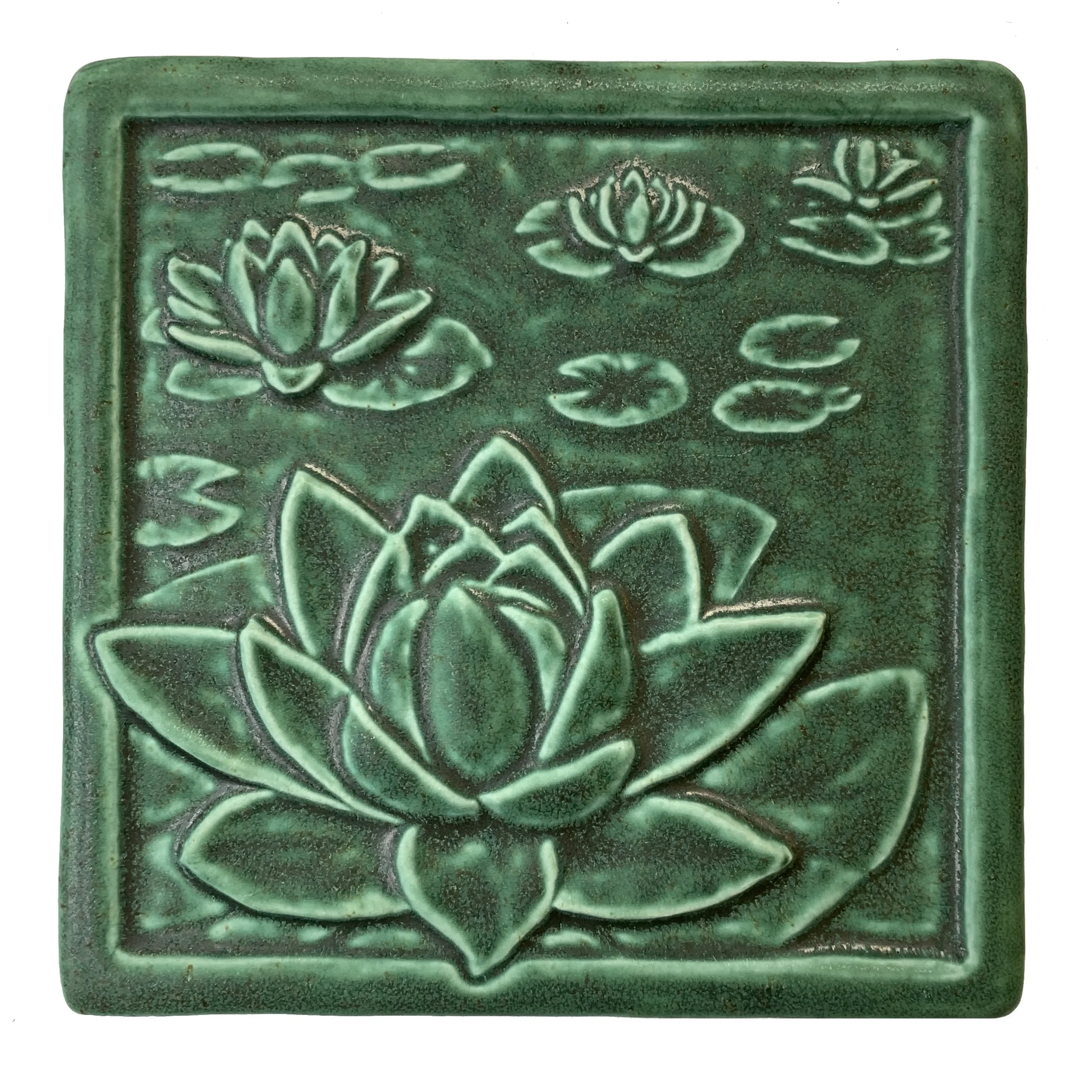 Water lilies leaf green.JPG