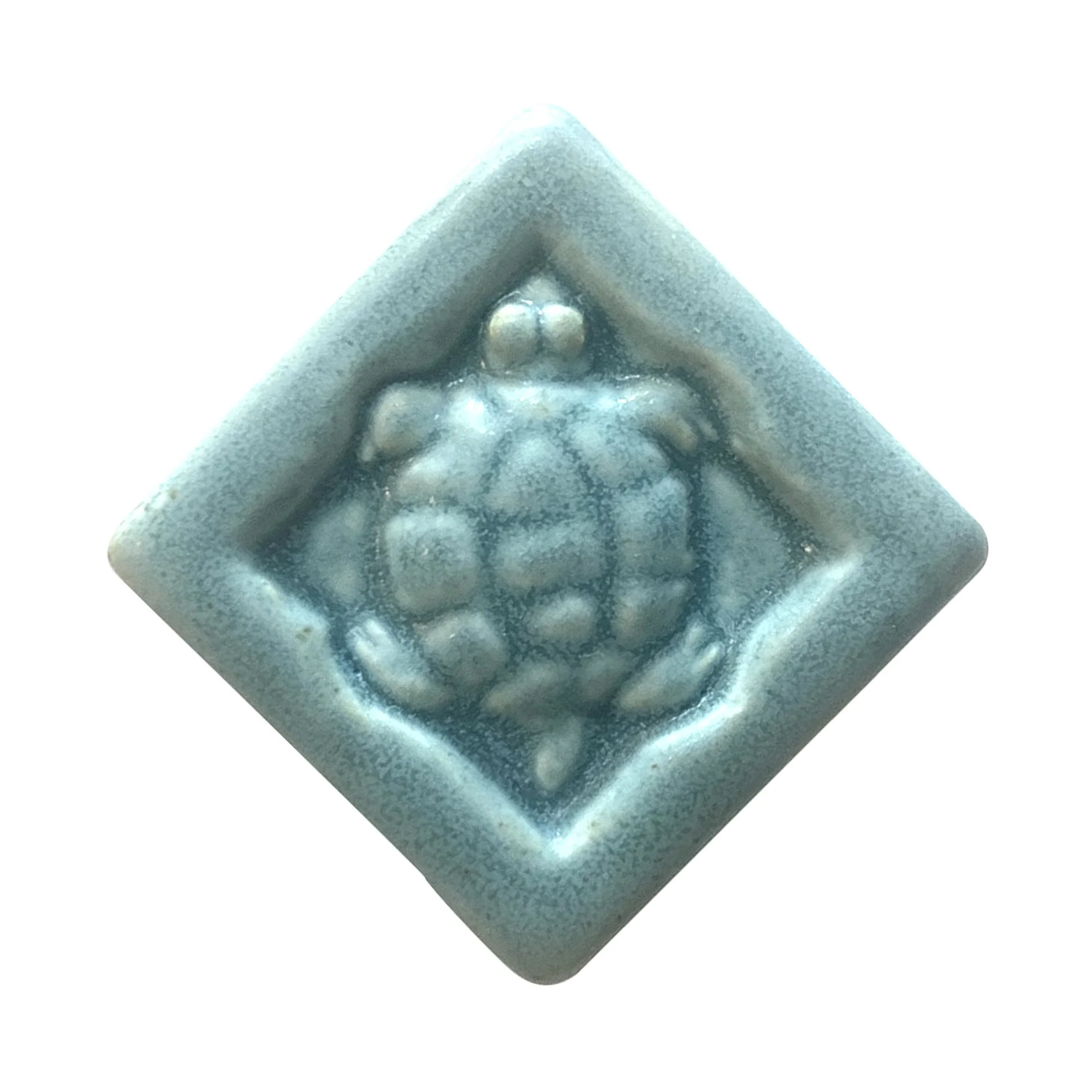 Turtle 2x2 seaside.JPG