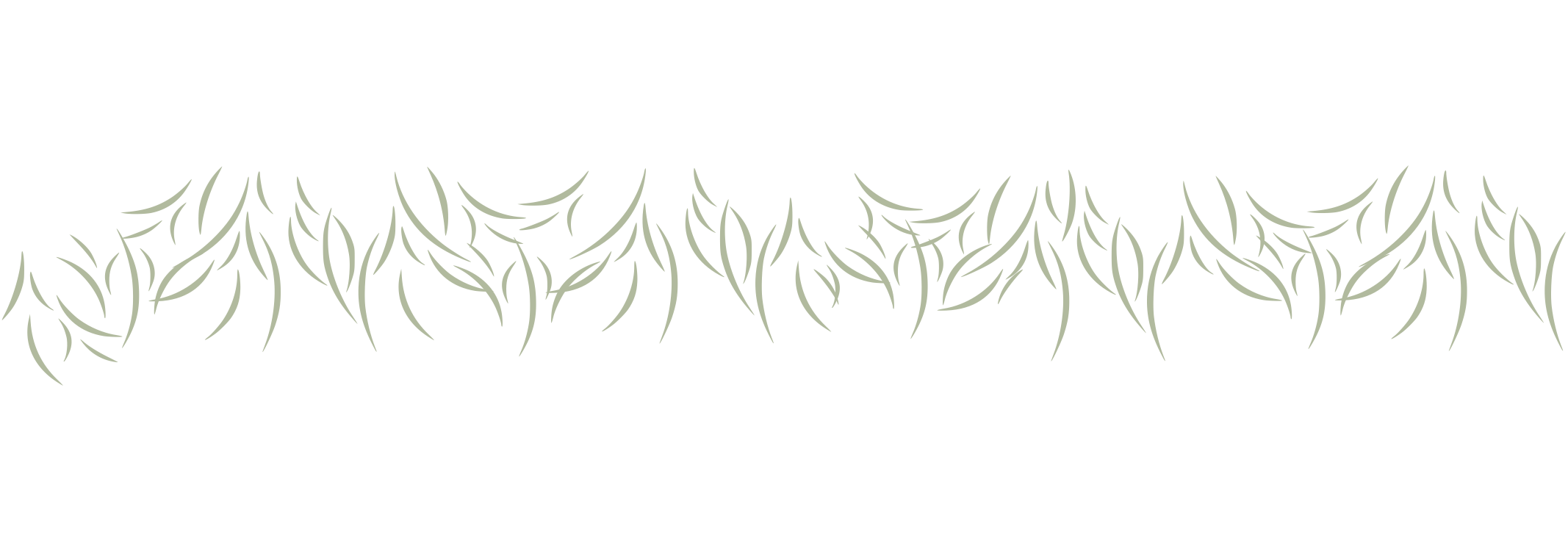 wide.png