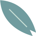 Surf Classes