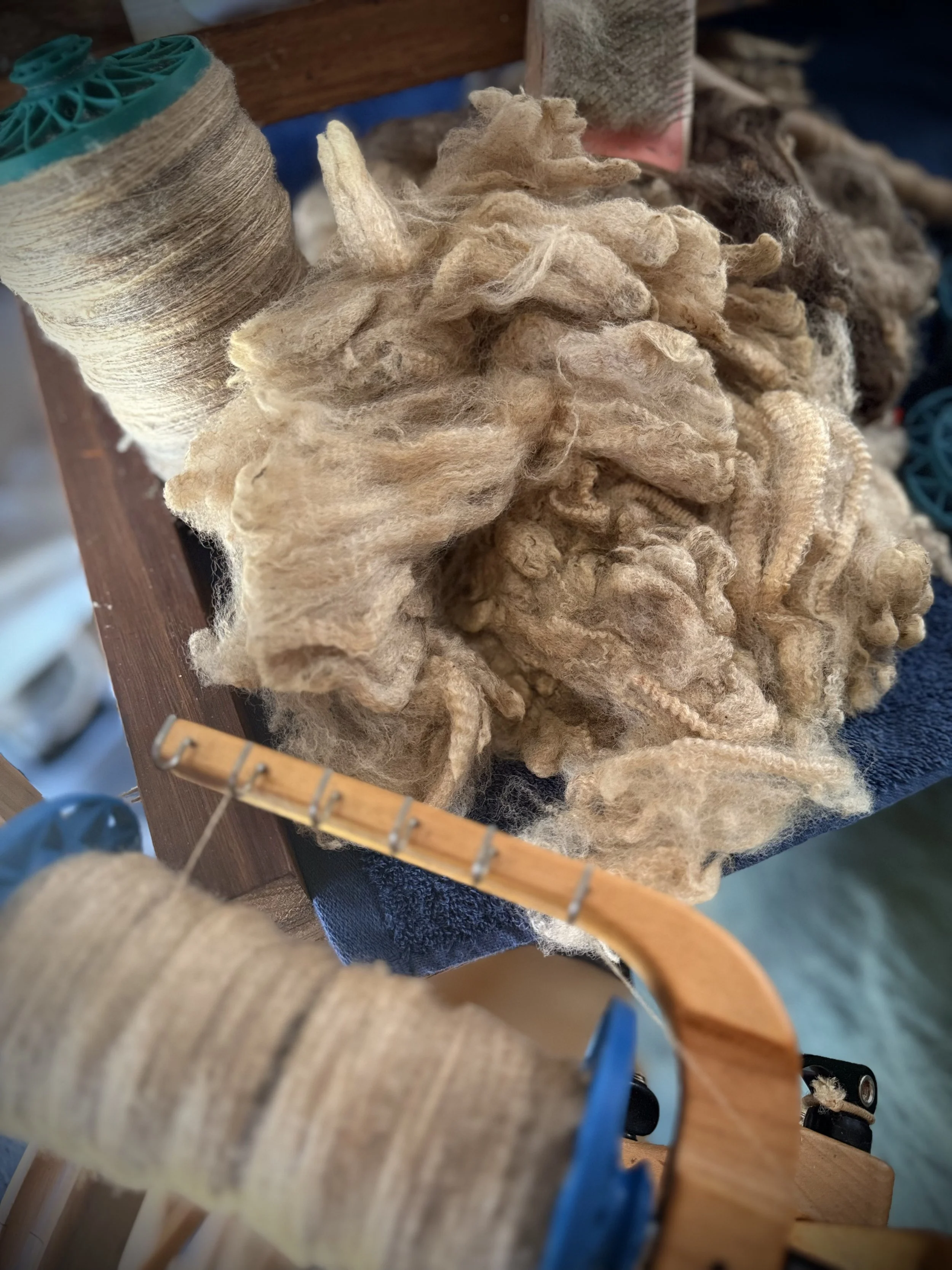 August 2025 - Fleece of the Month.