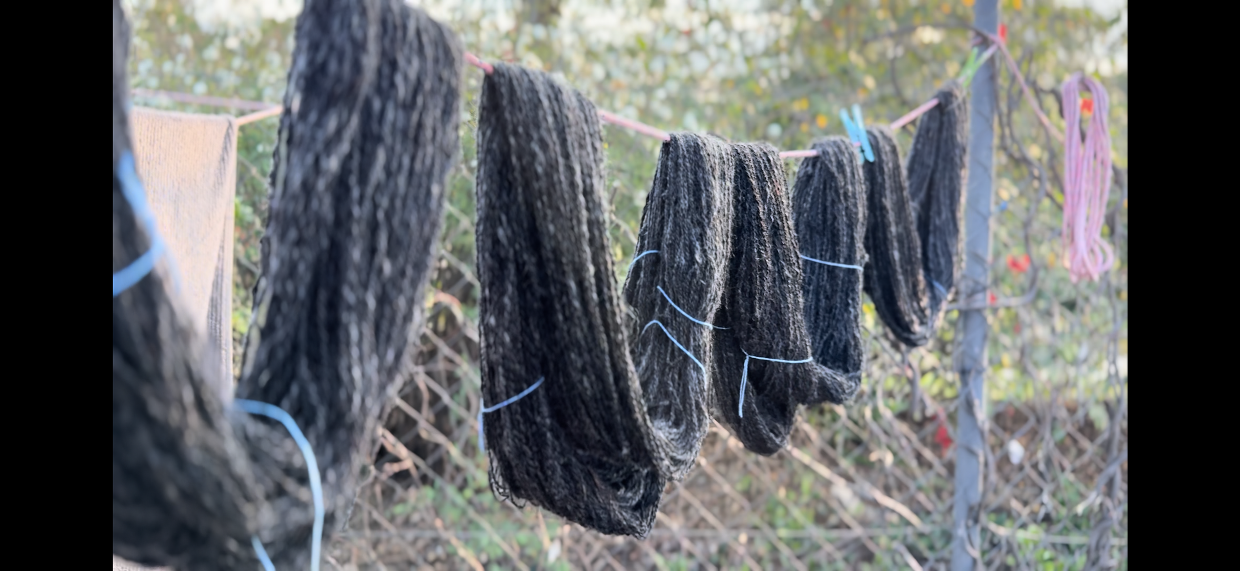 September 2025 - Fleece of the Month