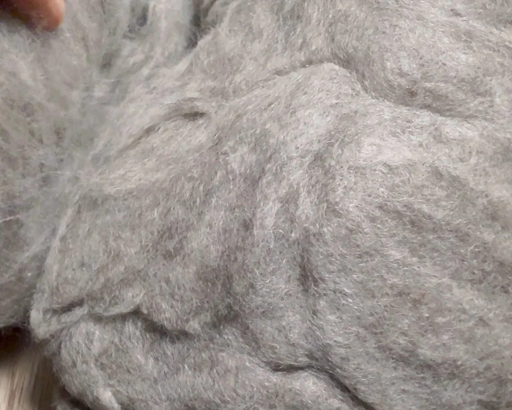 View recent photos.jpeg