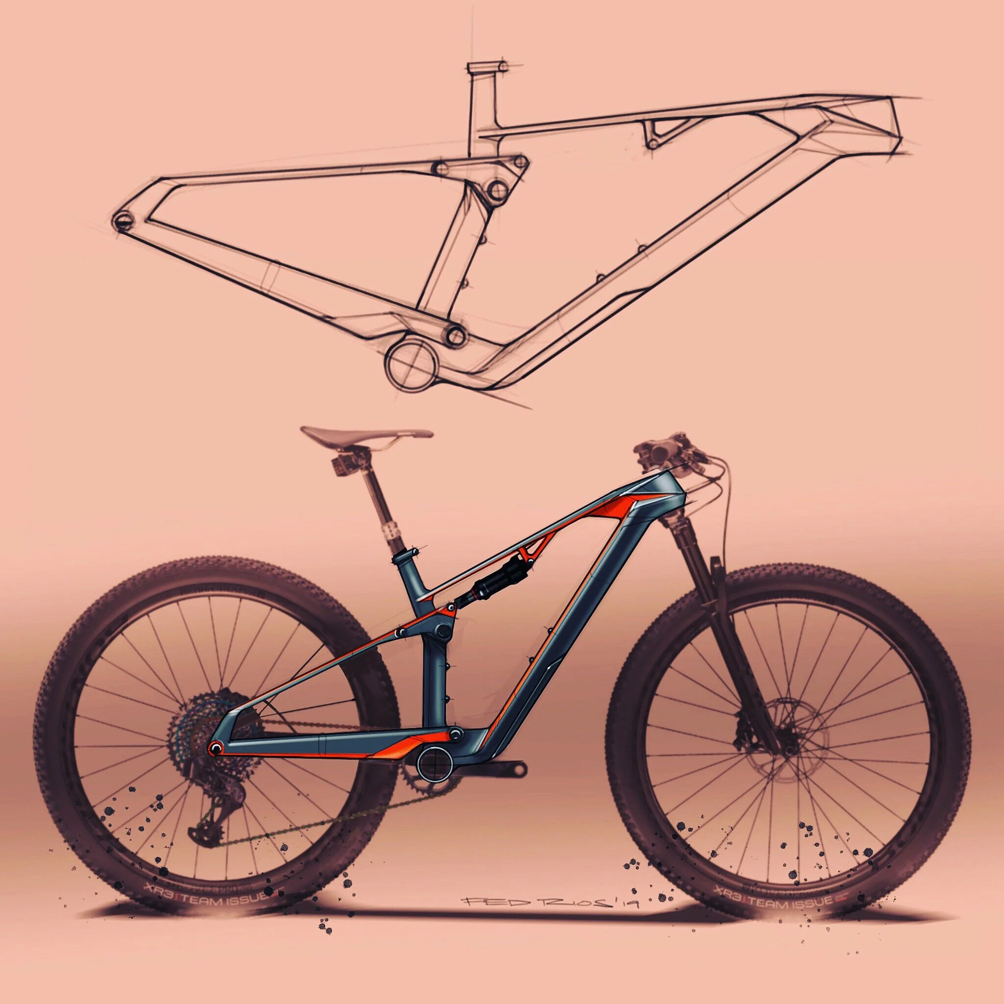 Fed 9 - Bike Frame.JPG