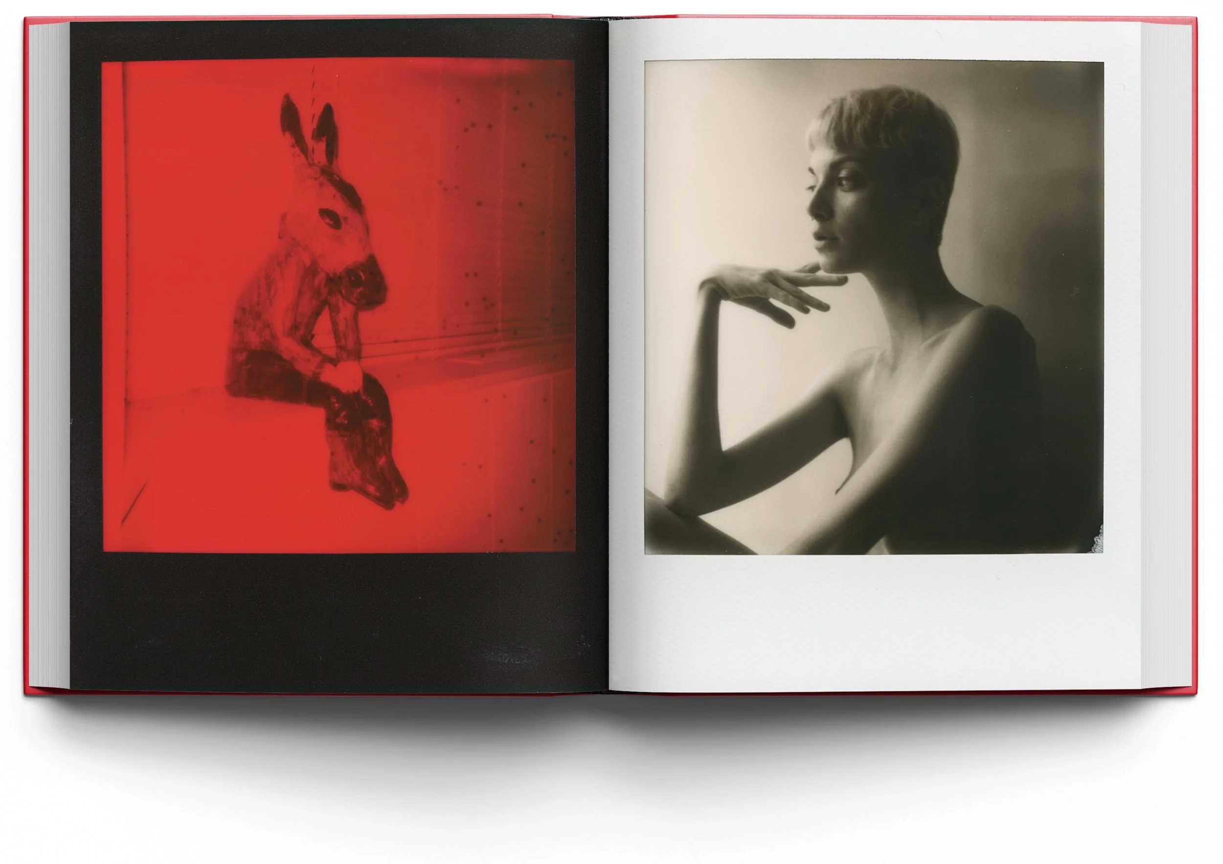 az28339 View Book Mockup copy red.jpg