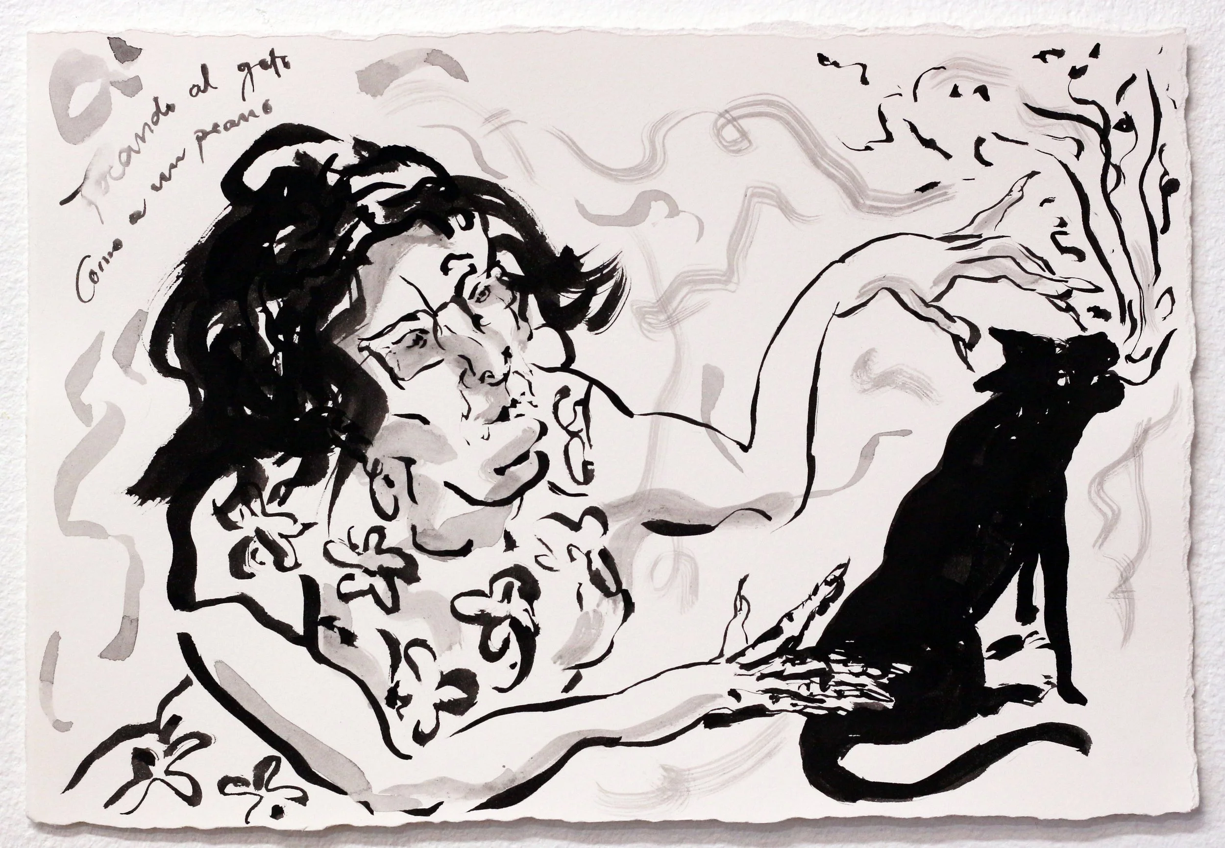 Tocando al gato como a un piano (Playing with the Cat like a Piano)