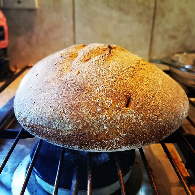#isolate #bake #bread #sourdough #notwritingmusic #lecruset #lecrusetcooking