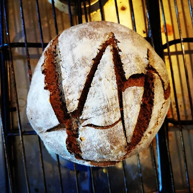 Todays isolation bake is a rye sourdough.