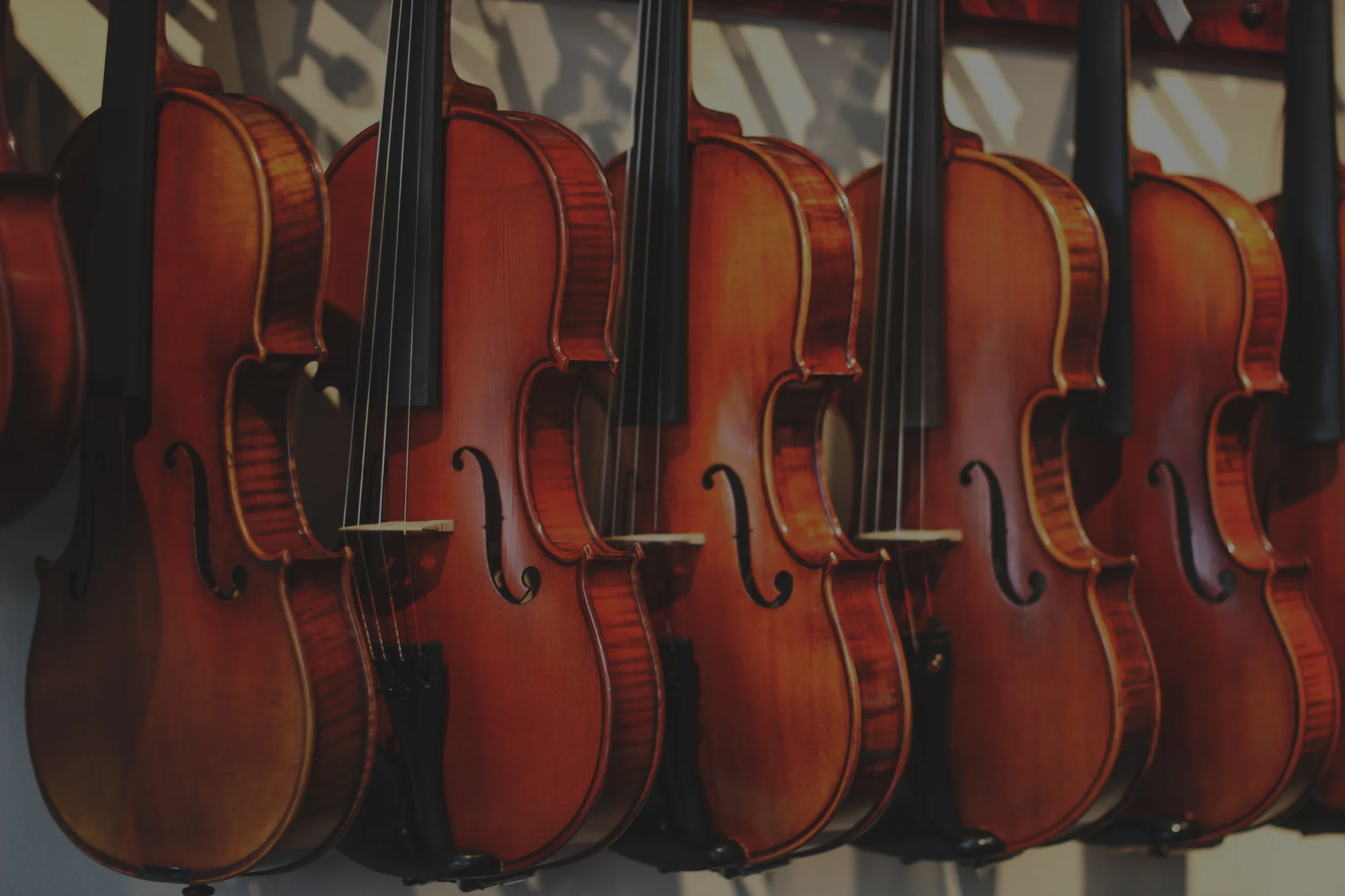 ViolinsRow_Side_Dark.jpg