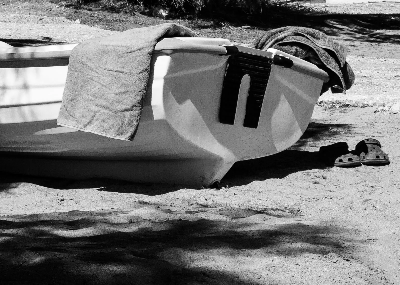 Untitled - Early Morning Swim