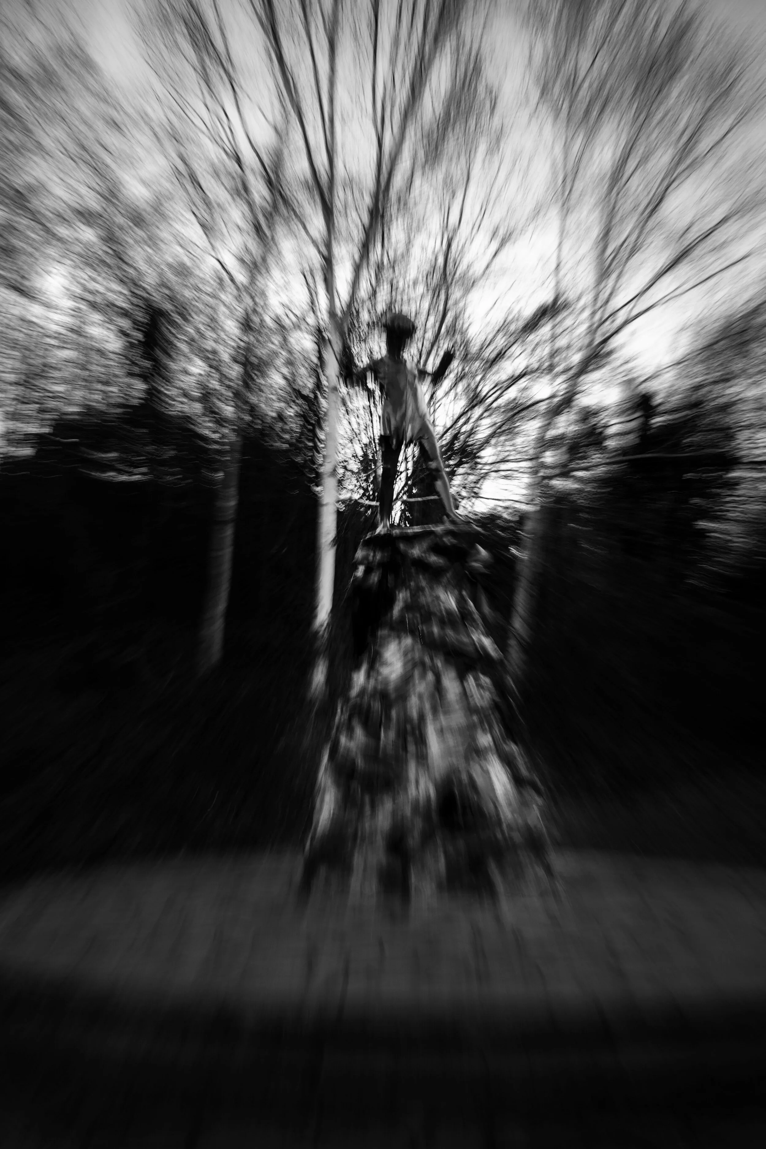 Untitled - The Amazing Adventures OF Peter Pan, February 2019