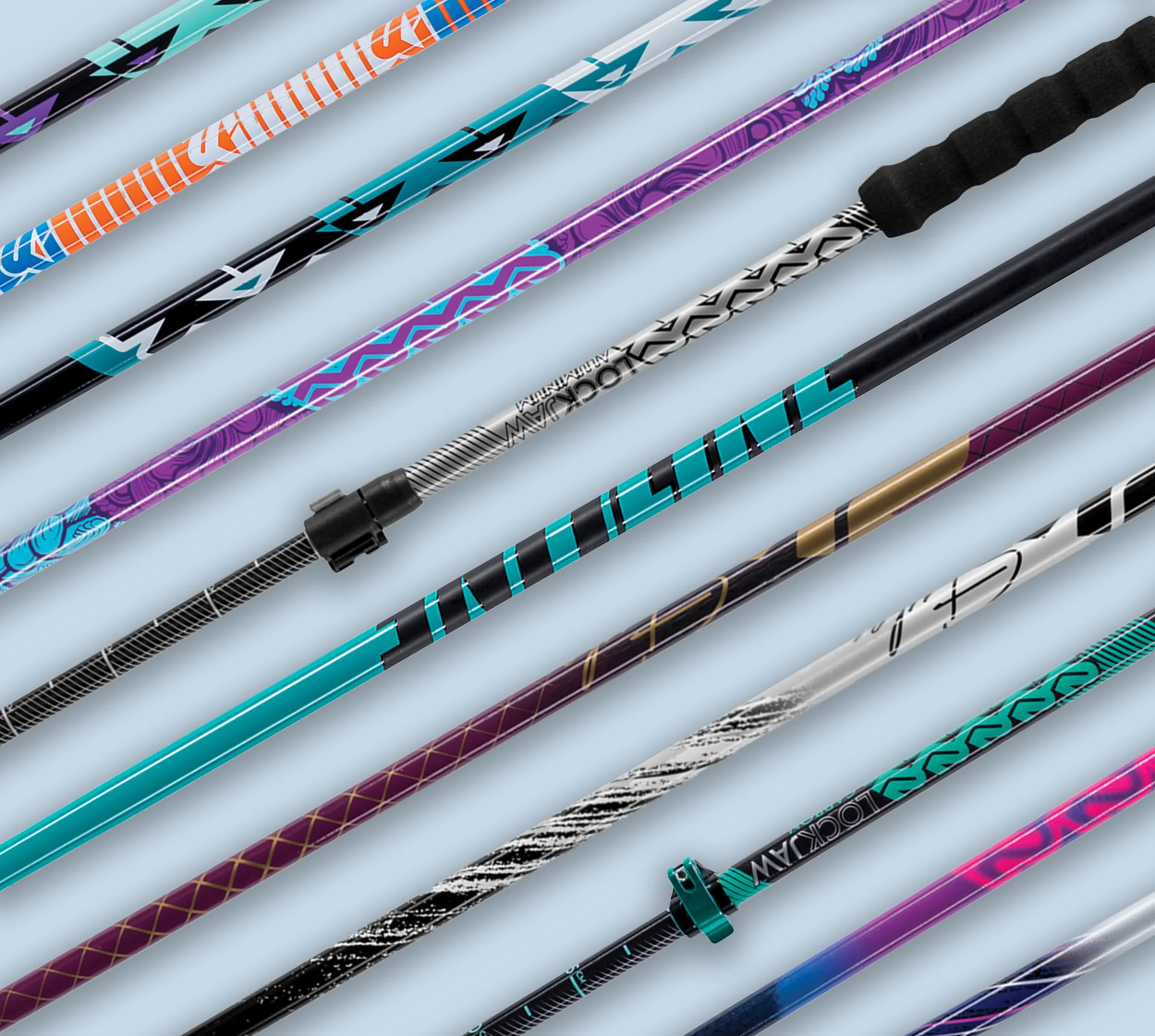 teal ski poles