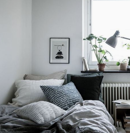 pillows on bed with windowsill plants.png