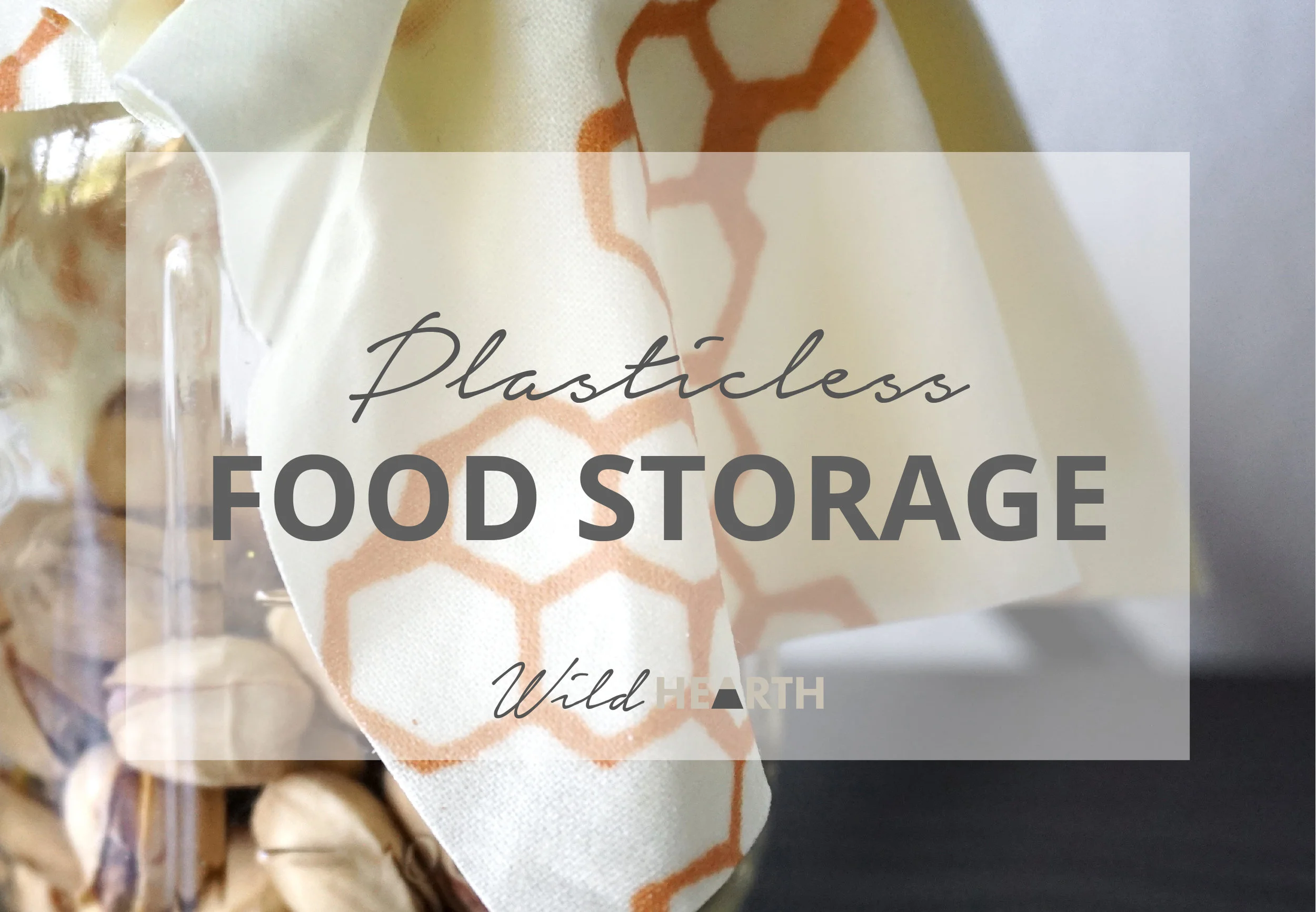 Plasticless Food Storage Pinterest Graphic_1.jpg