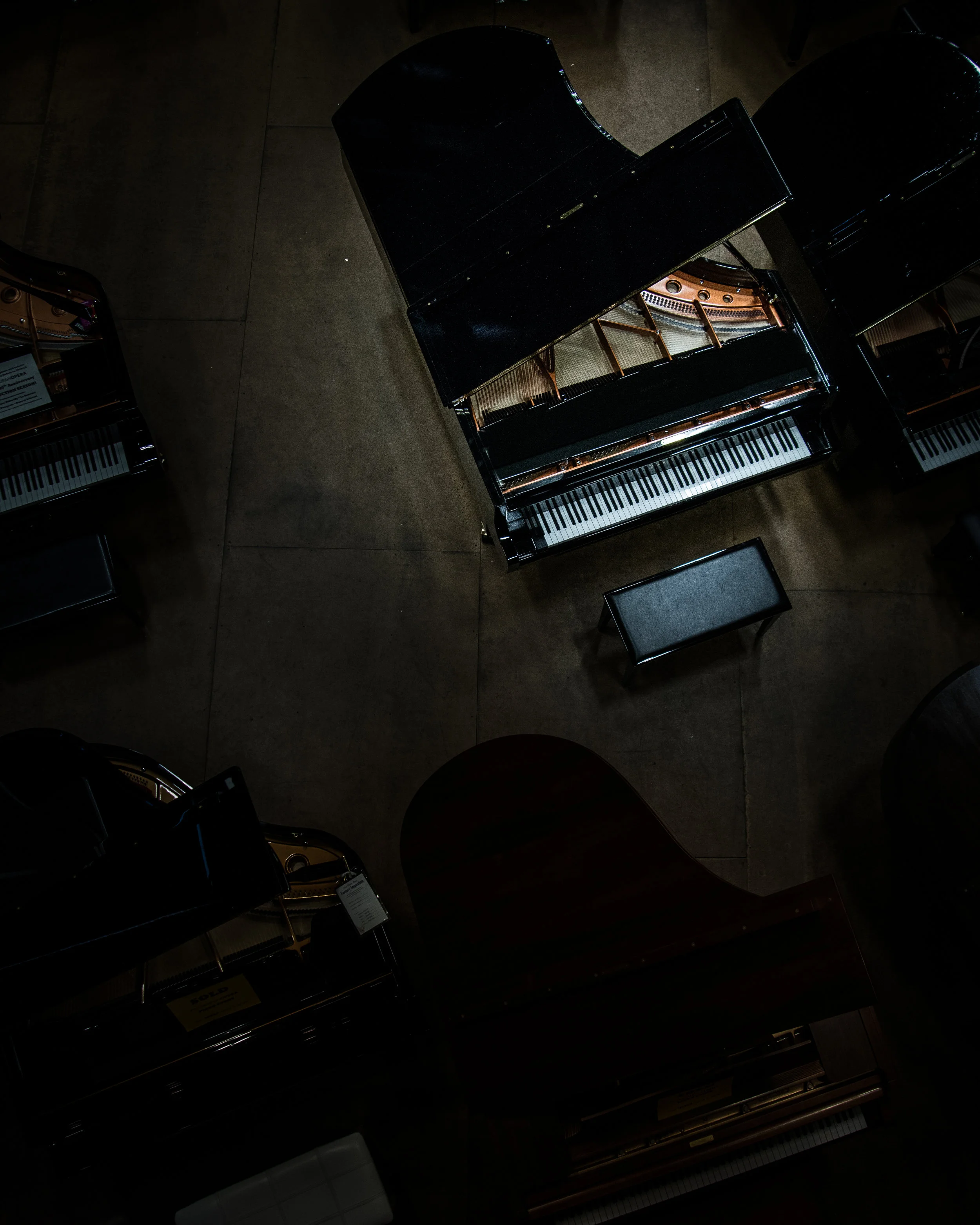 PianoWebsite.jpg