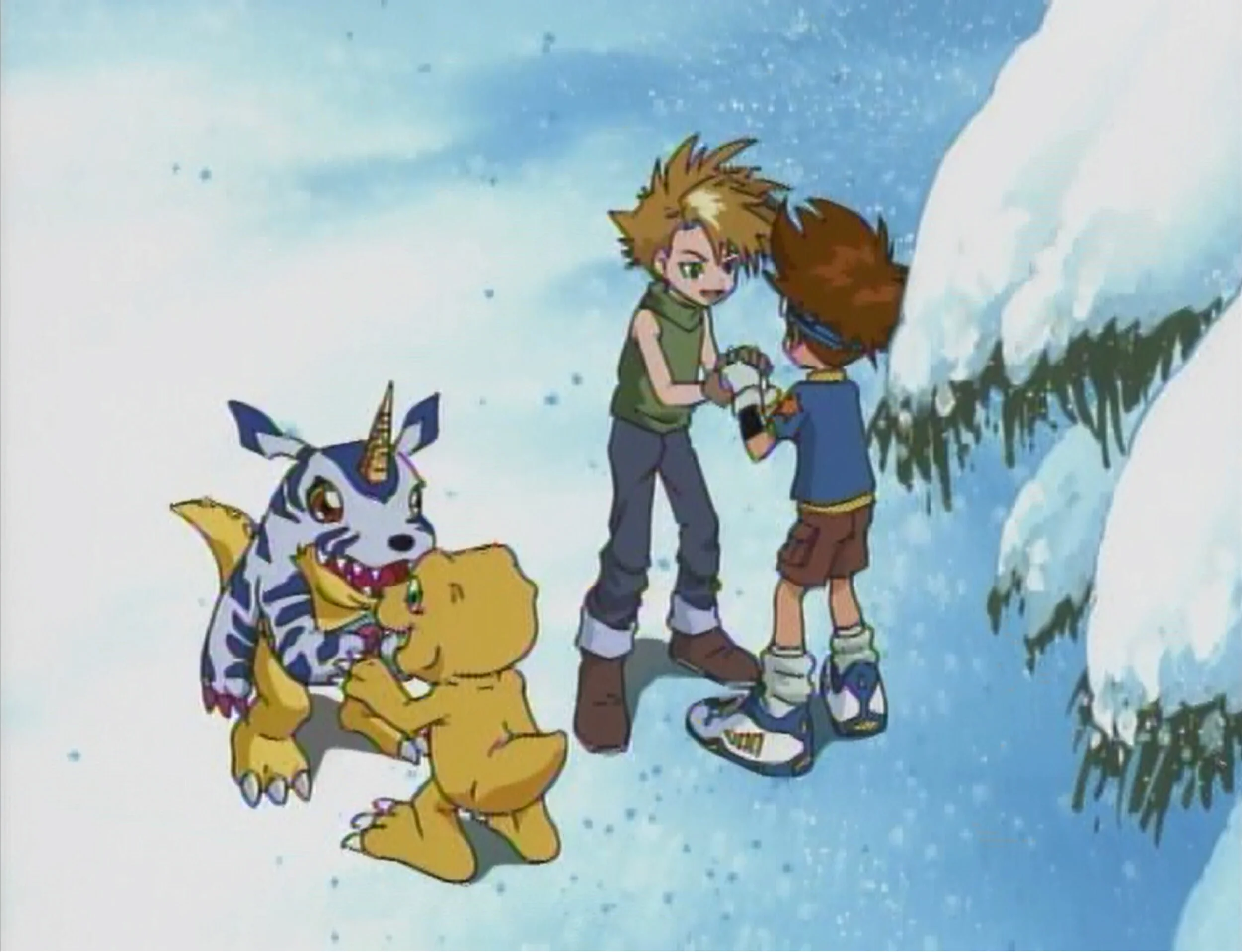 Digimon Tai And Matt Fight
