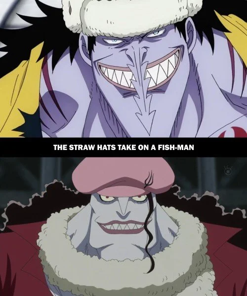 One Piece Parallels 3.jpg