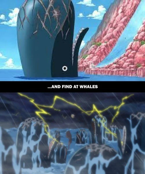 One Piece Parallels 5.jpg