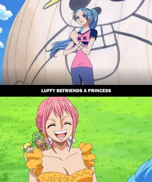 One Piece Parallels 6.jpg