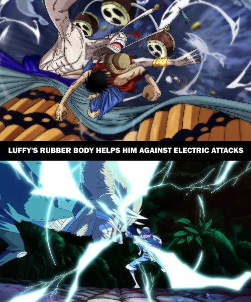One Piece Parallels 9.jpg