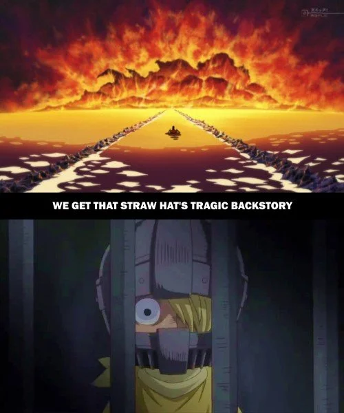 One Piece Parallels 11.jpg