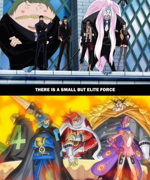 One Piece Parallels 15.jpg