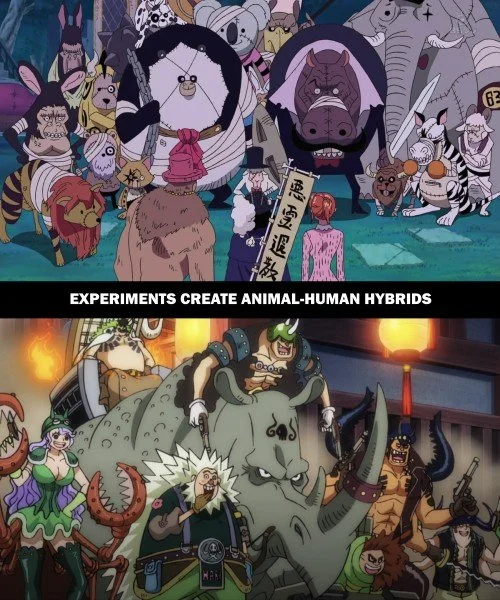 One Piece Parallels 18.jpg